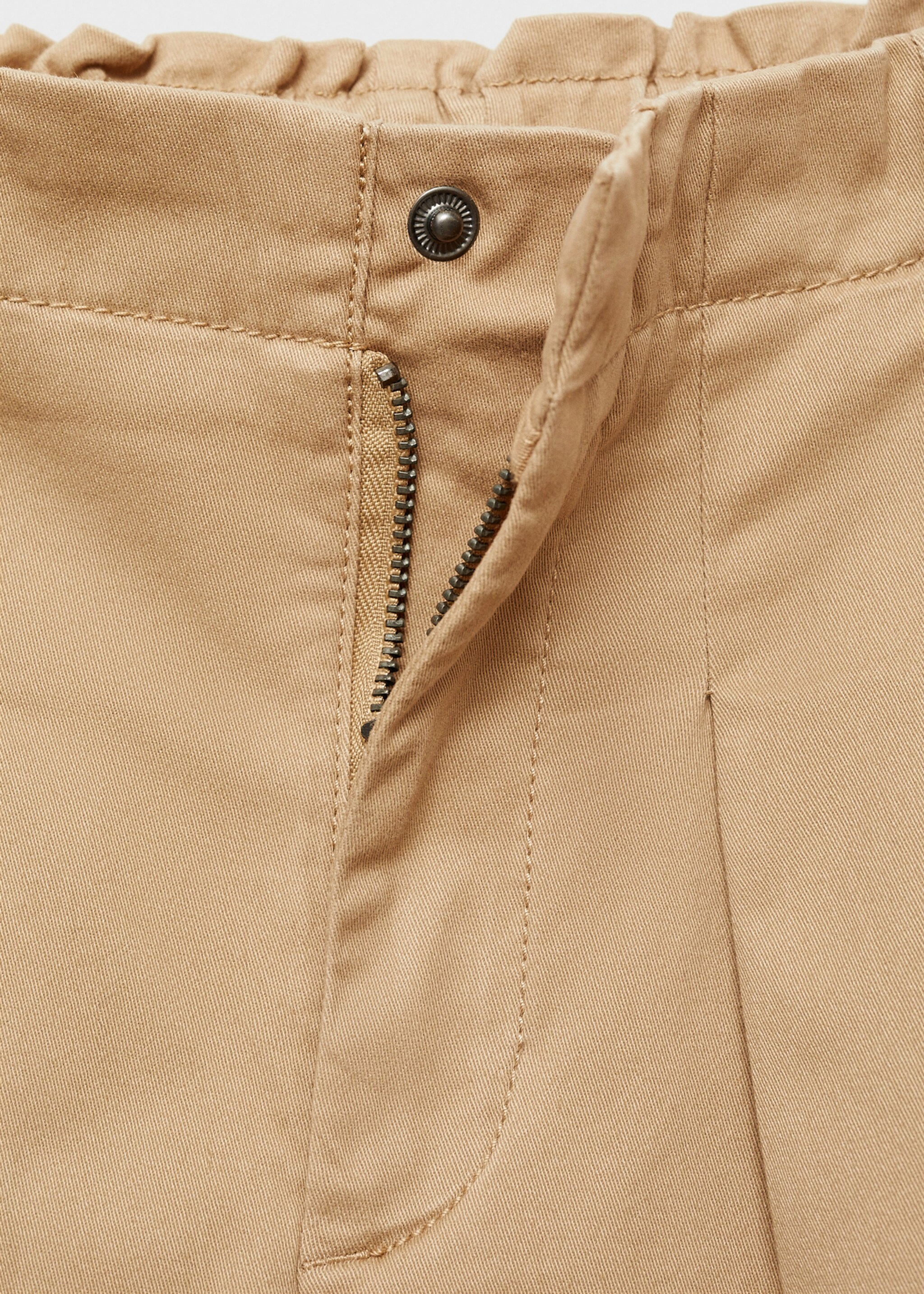 Pleated cargo pants - Details of the article 0, Medium Brown. Ref: 77016731-00.