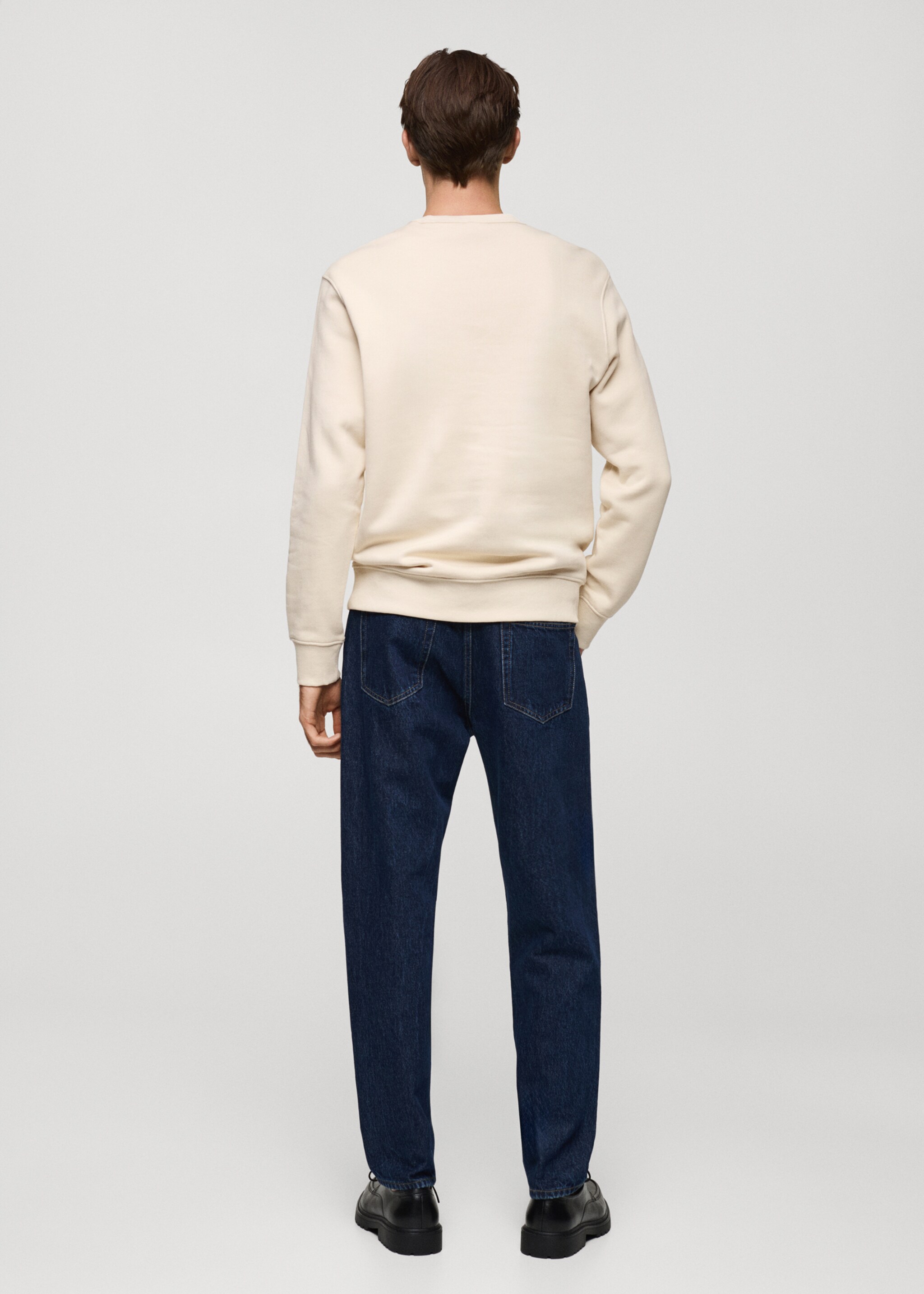 Plush cotton sweatshirt - Reverse of the article, Ecru. Ref: 77017117-00.