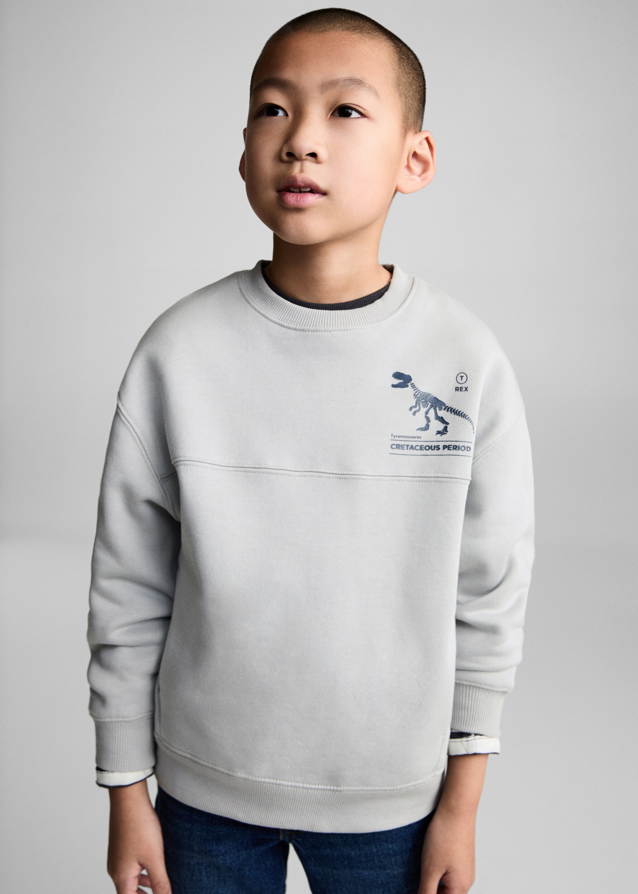 Sudadera algodón estampado - Plano medio, Gris claro/pastel. Ref: 77017932-00.