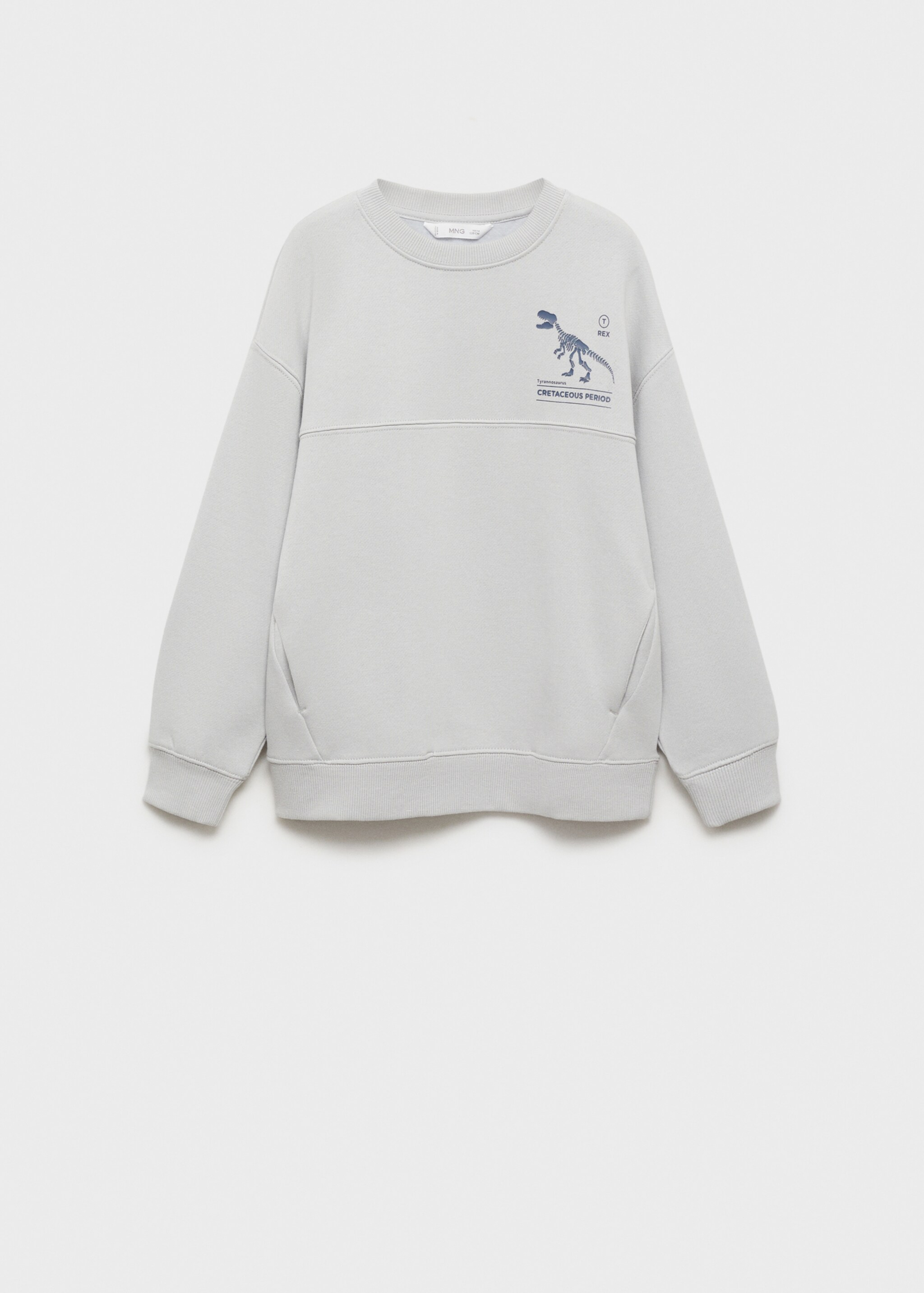 Sudadera algodón estampado - Artículo sin modelo, Gris claro/pastel. Ref: 77017932-00.