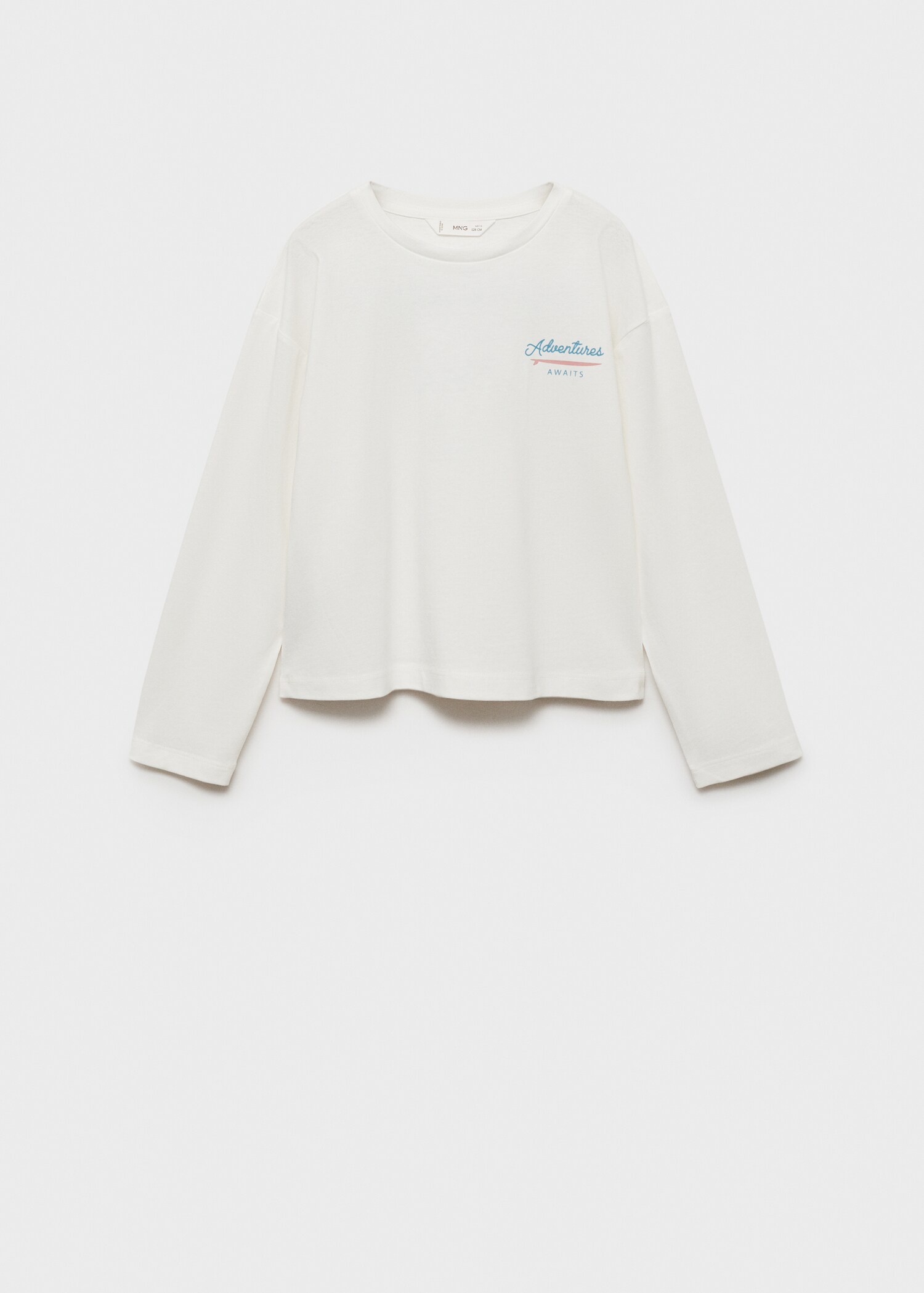Embroidered detail cotton T-shirt - Article without model
