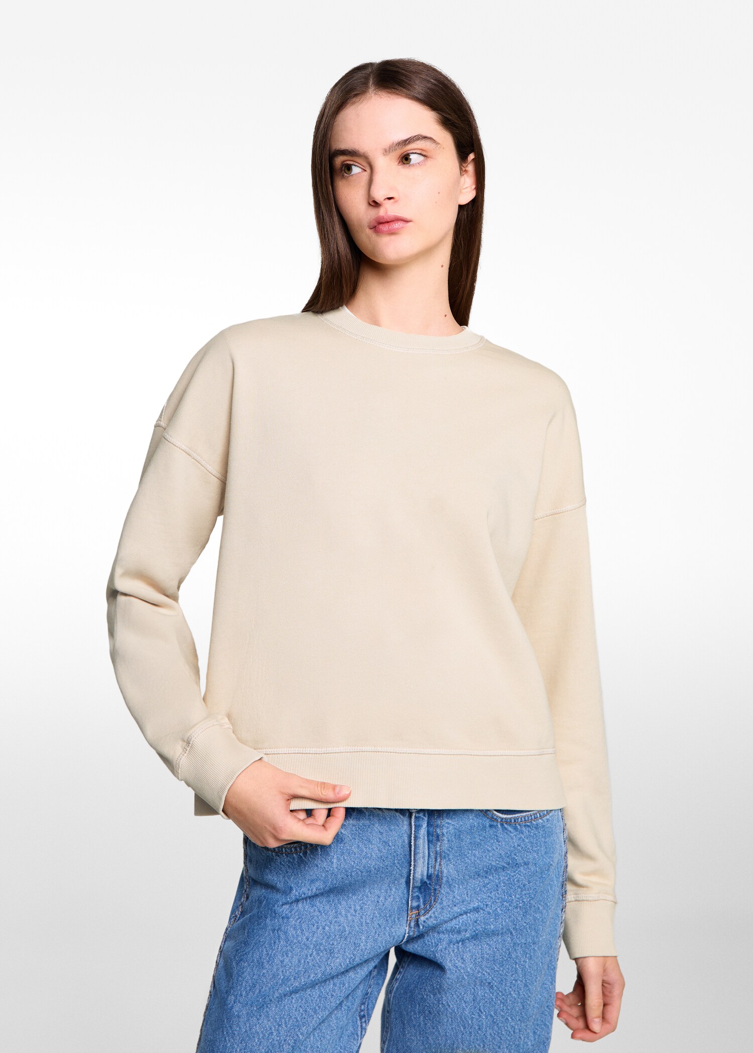 Cotton sweatshirt - Medium plane