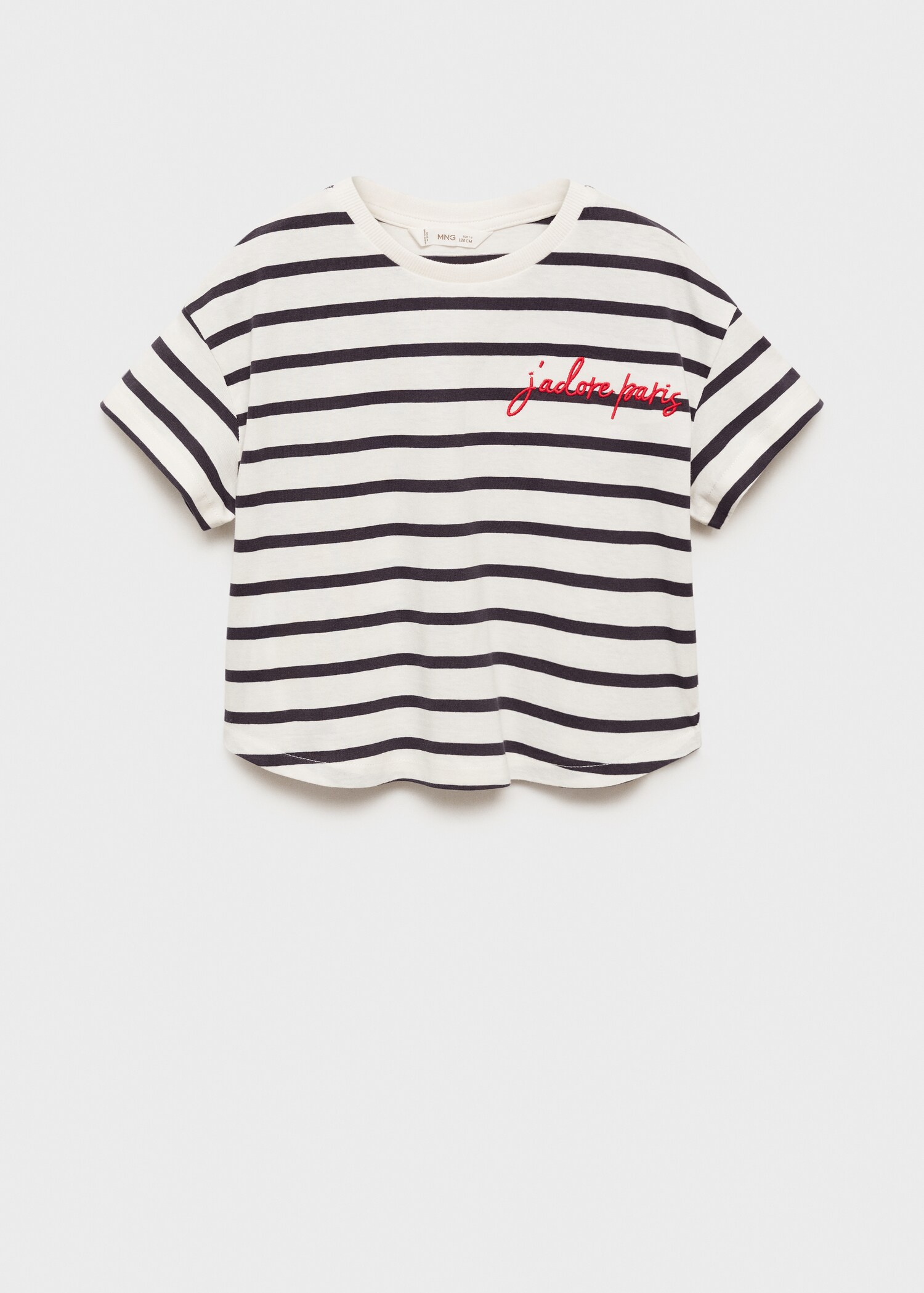 Striped t-shirt with embroidered detail - Article without model