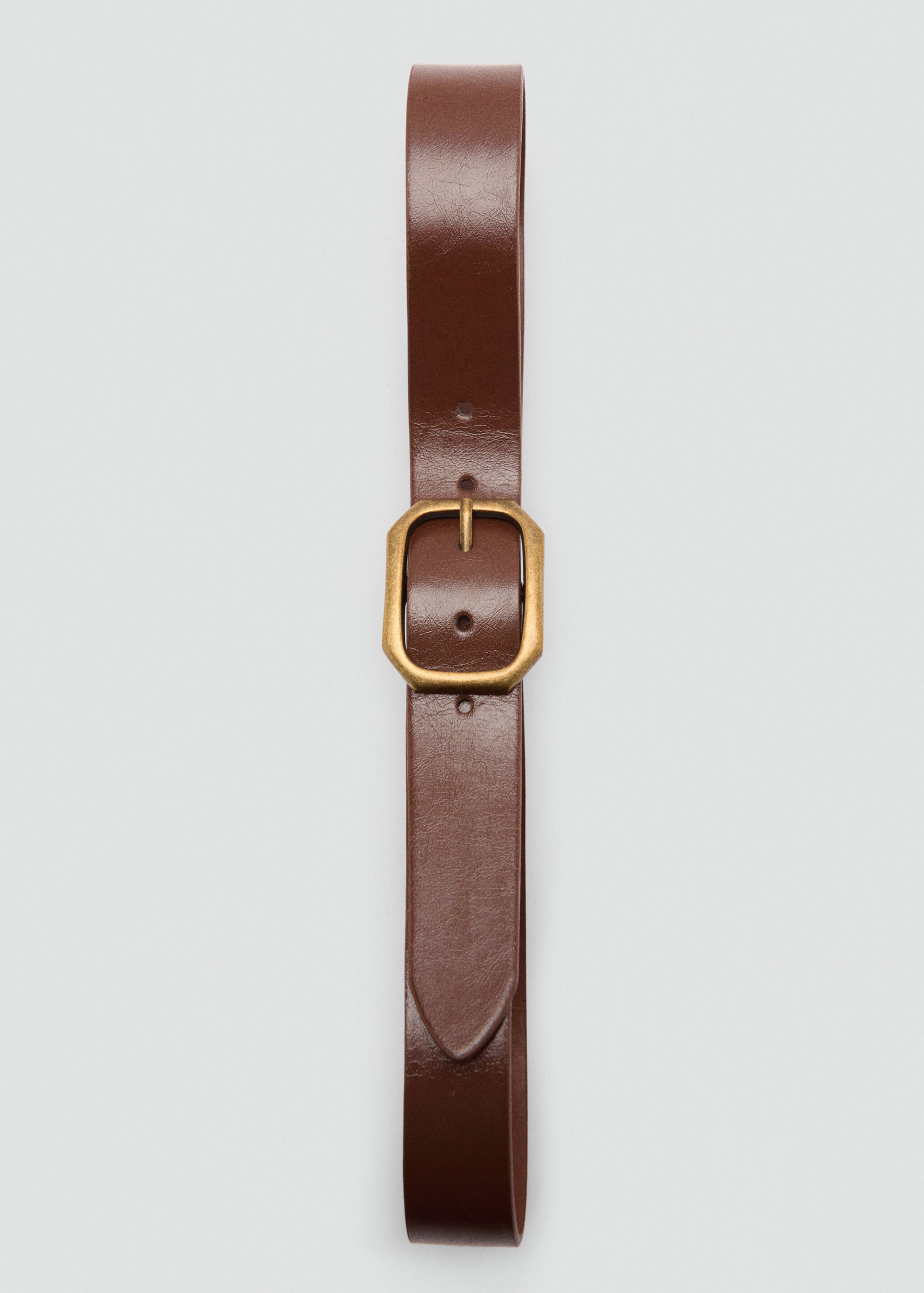 Metal buckle belt - Details of the article 2