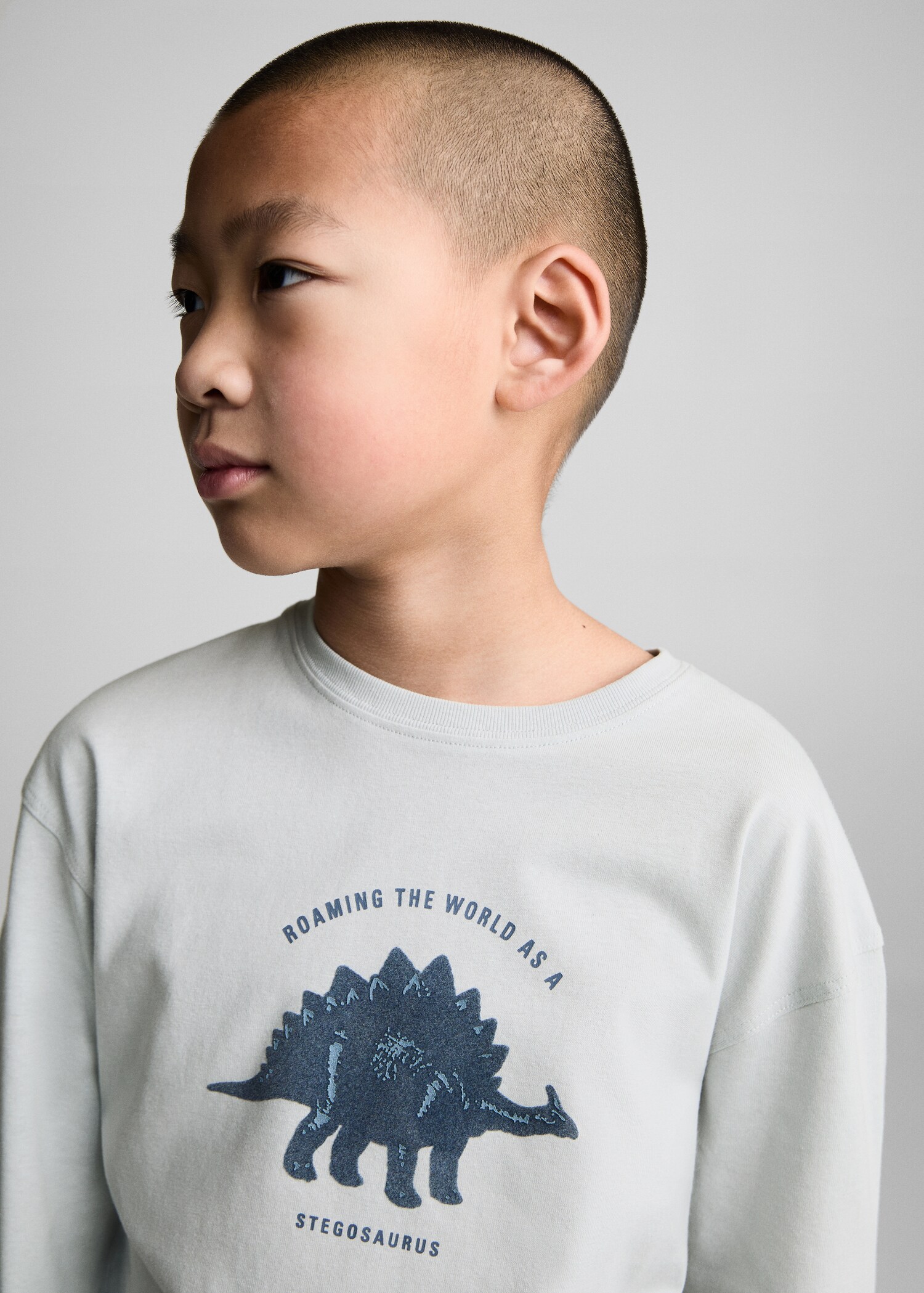 T-Shirt mit Dinosaurier-Motiv - Detail des Artikels 1
