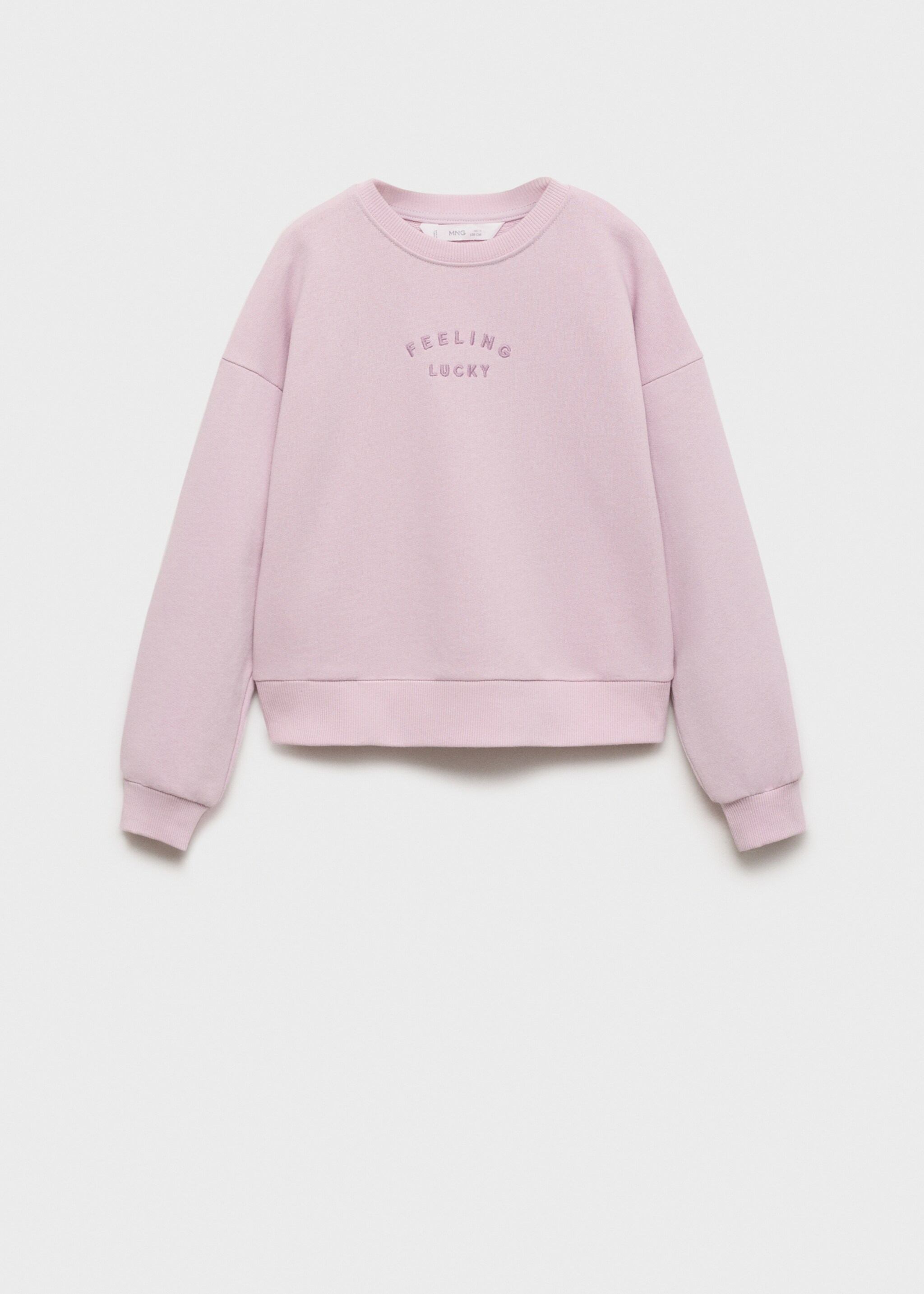 Embroidered detail cotton sweatshirt - Article without model