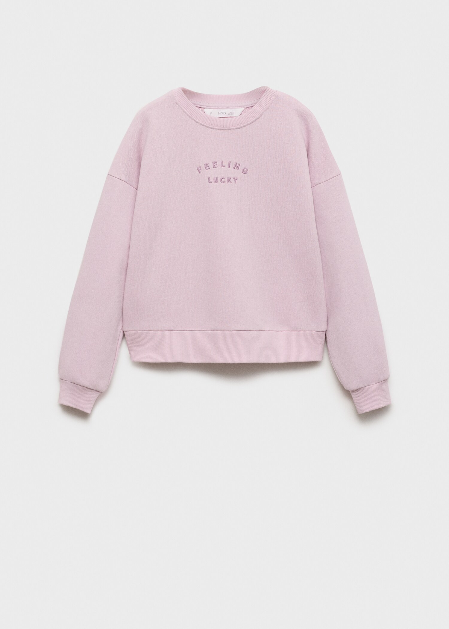 Sudadera algodón detalle bordado - Artículo sin modelo