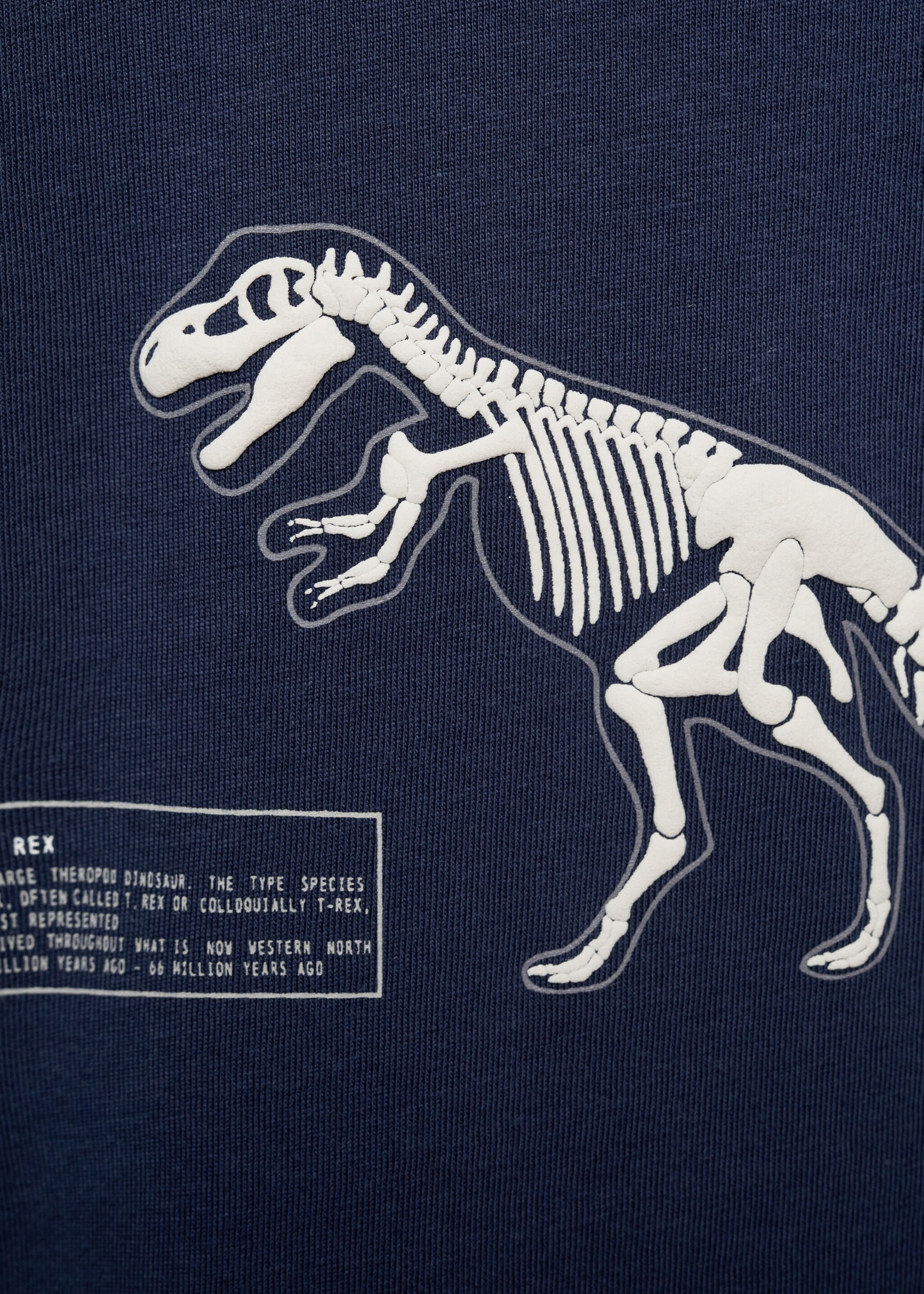 Camiseta estampado dinosaurio - Detalle del artículo 8, Azul marino oscuro. Ref: 77077928-00.