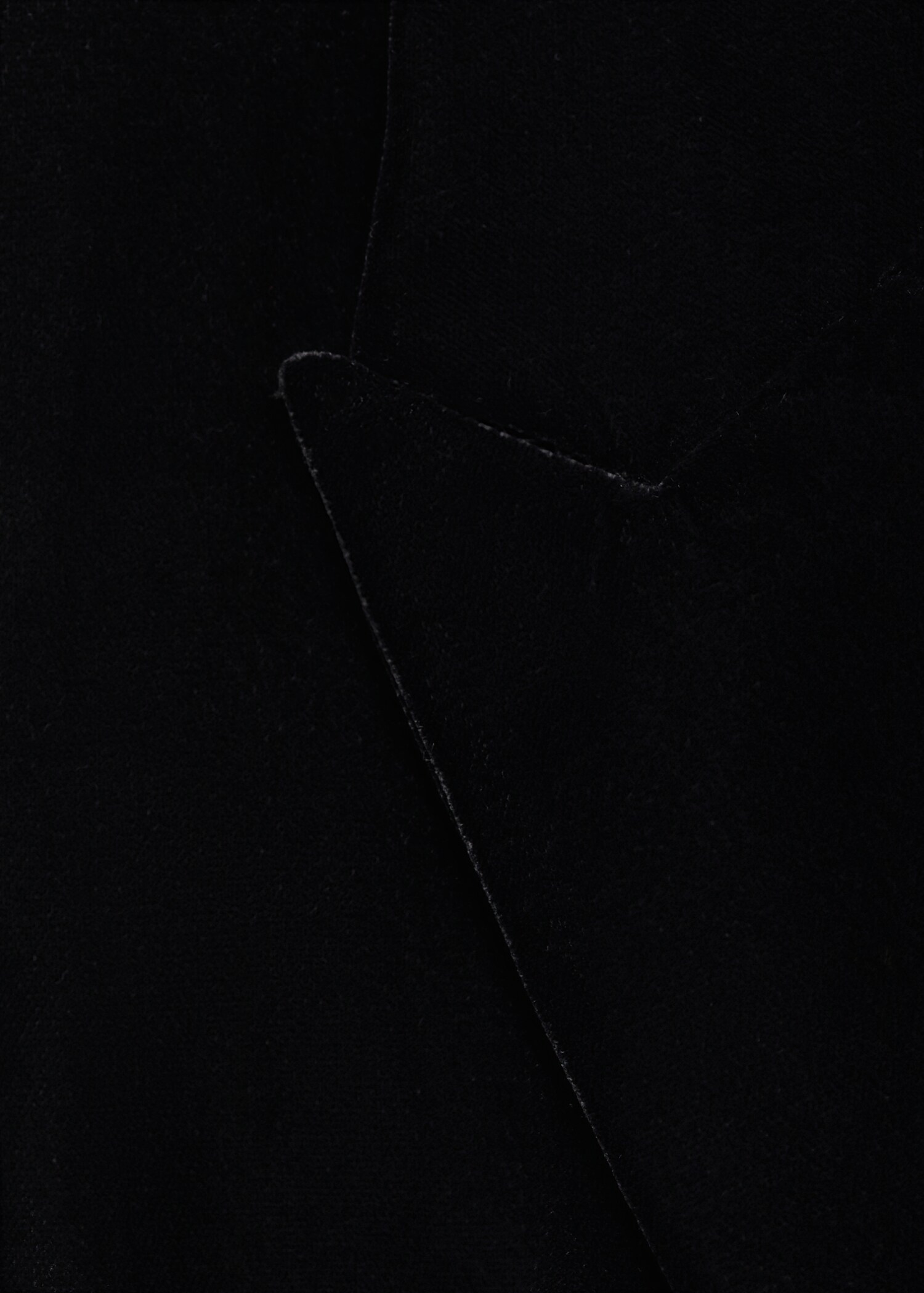Structured velvet blazer - Details of the article 8