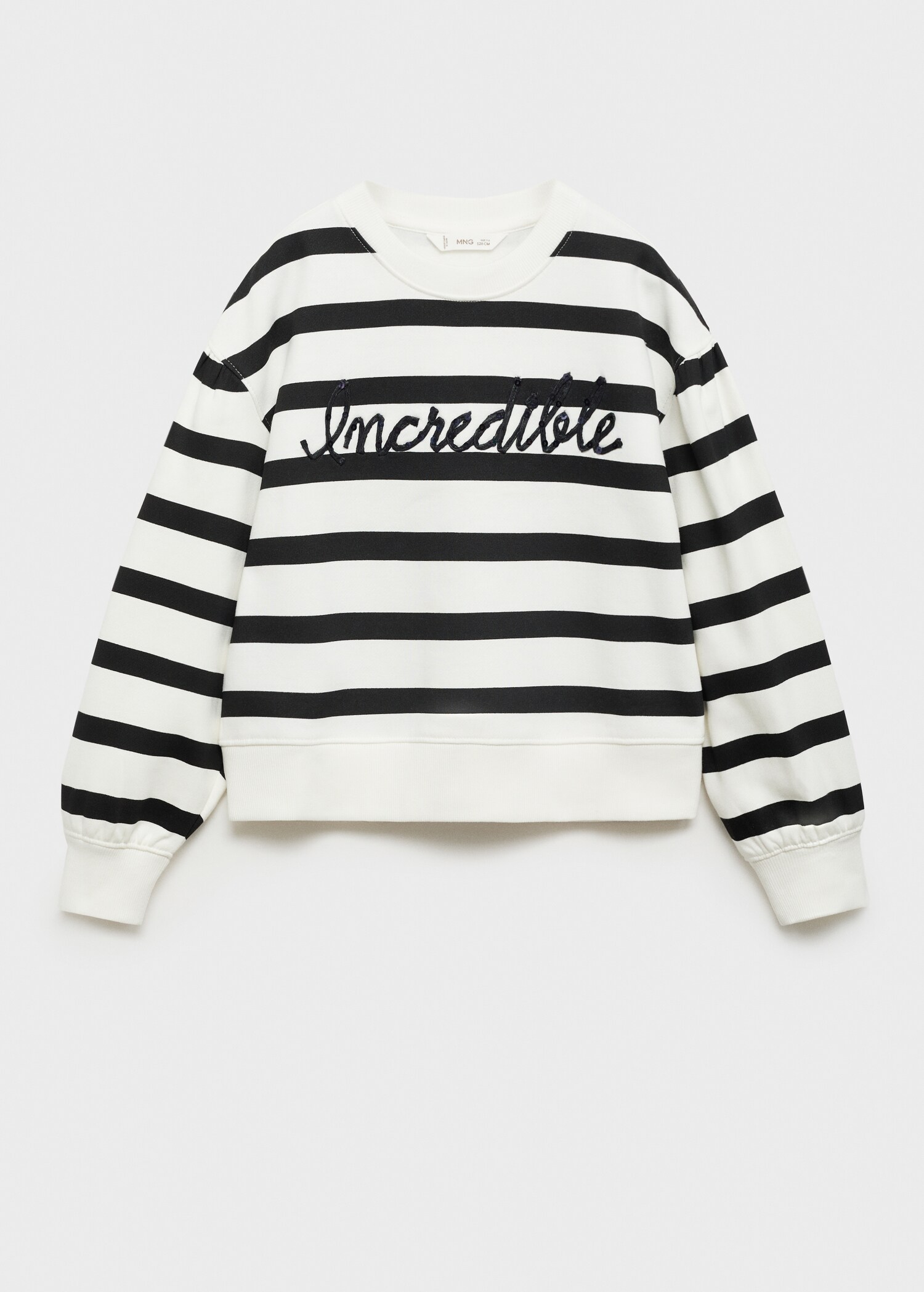 Striped sweatshirt with embroidered detail - Article without model