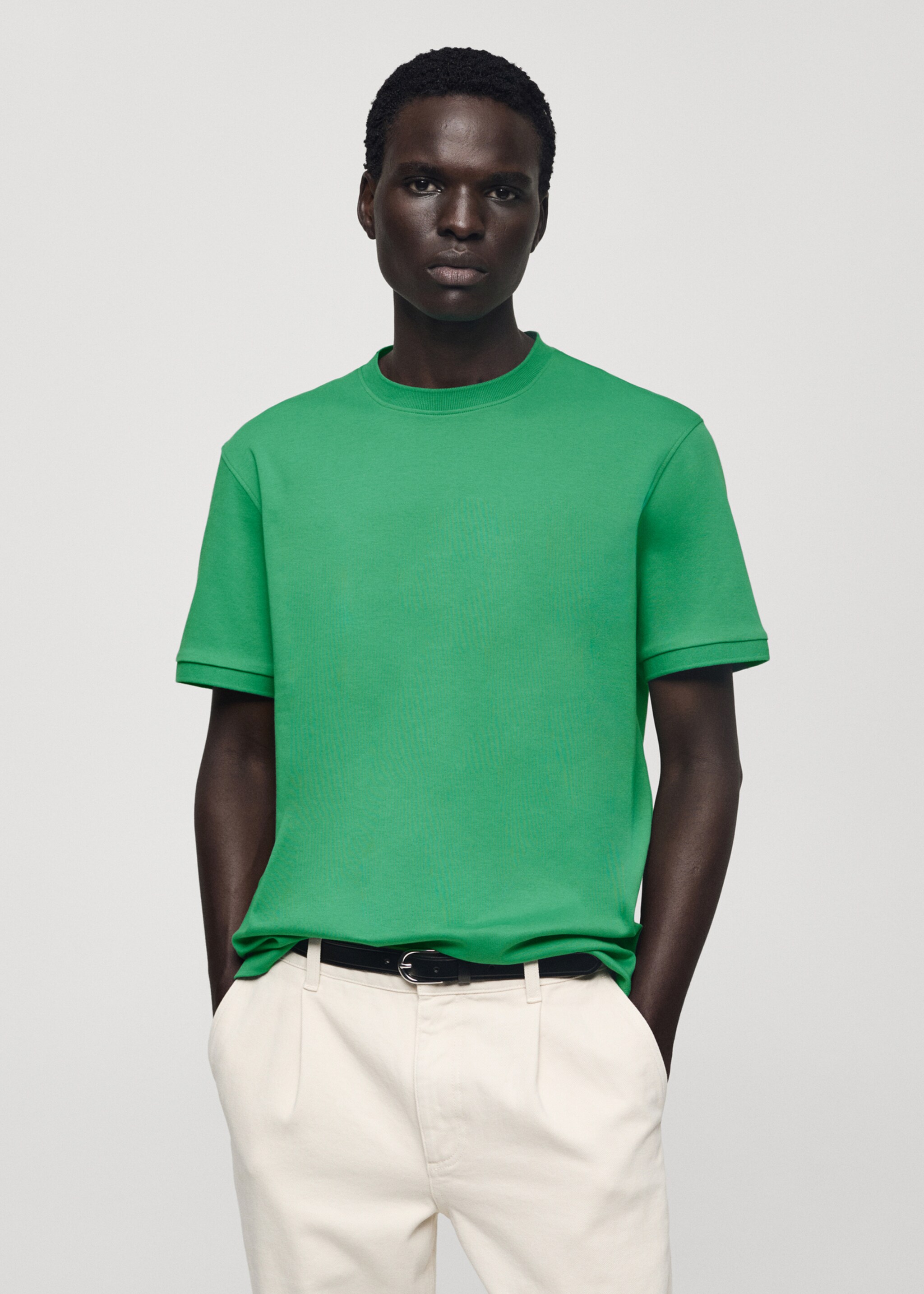 100% cotton regular-fit t-shirt - Medium plane