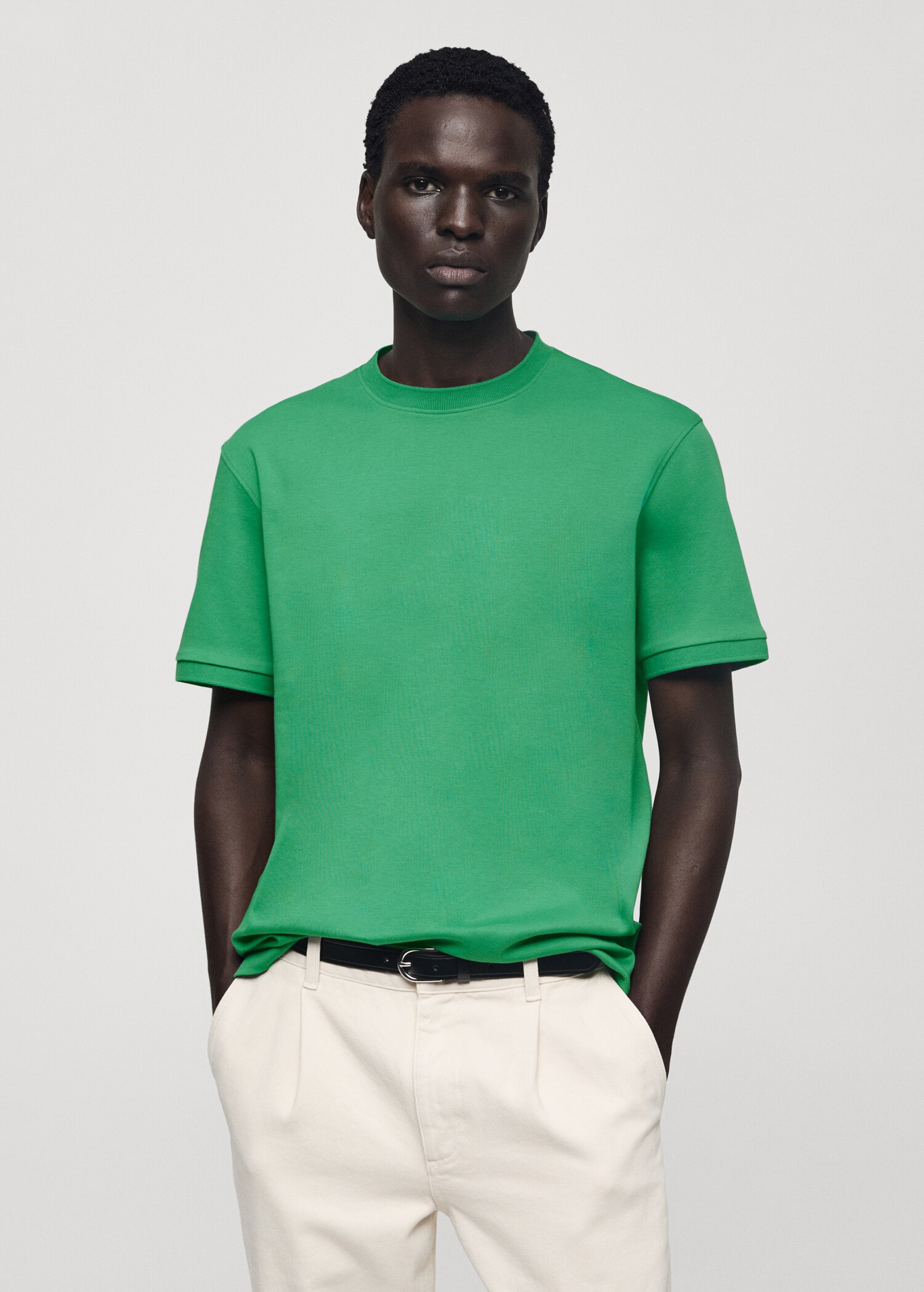 100% cotton regular-fit t-shirt - Medium plane