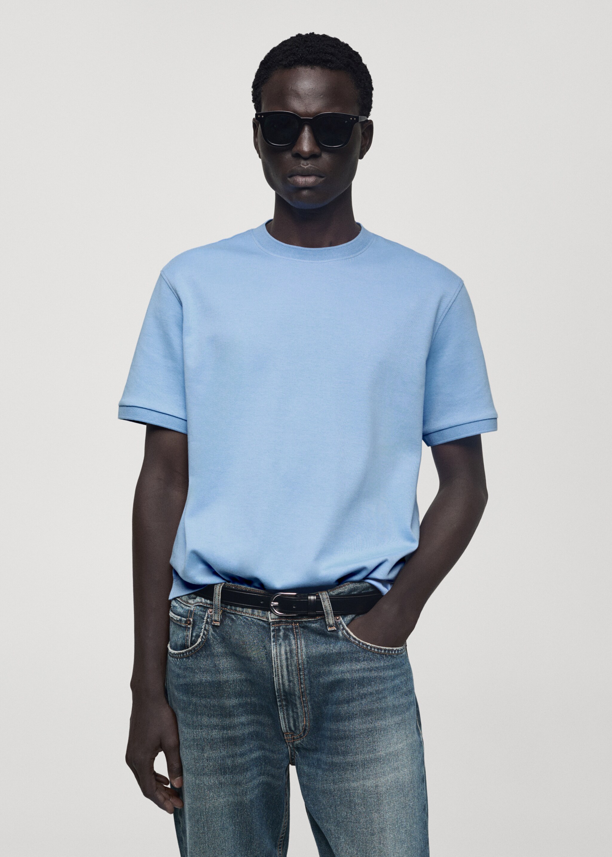 100% cotton regular-fit t-shirt - Medium plane