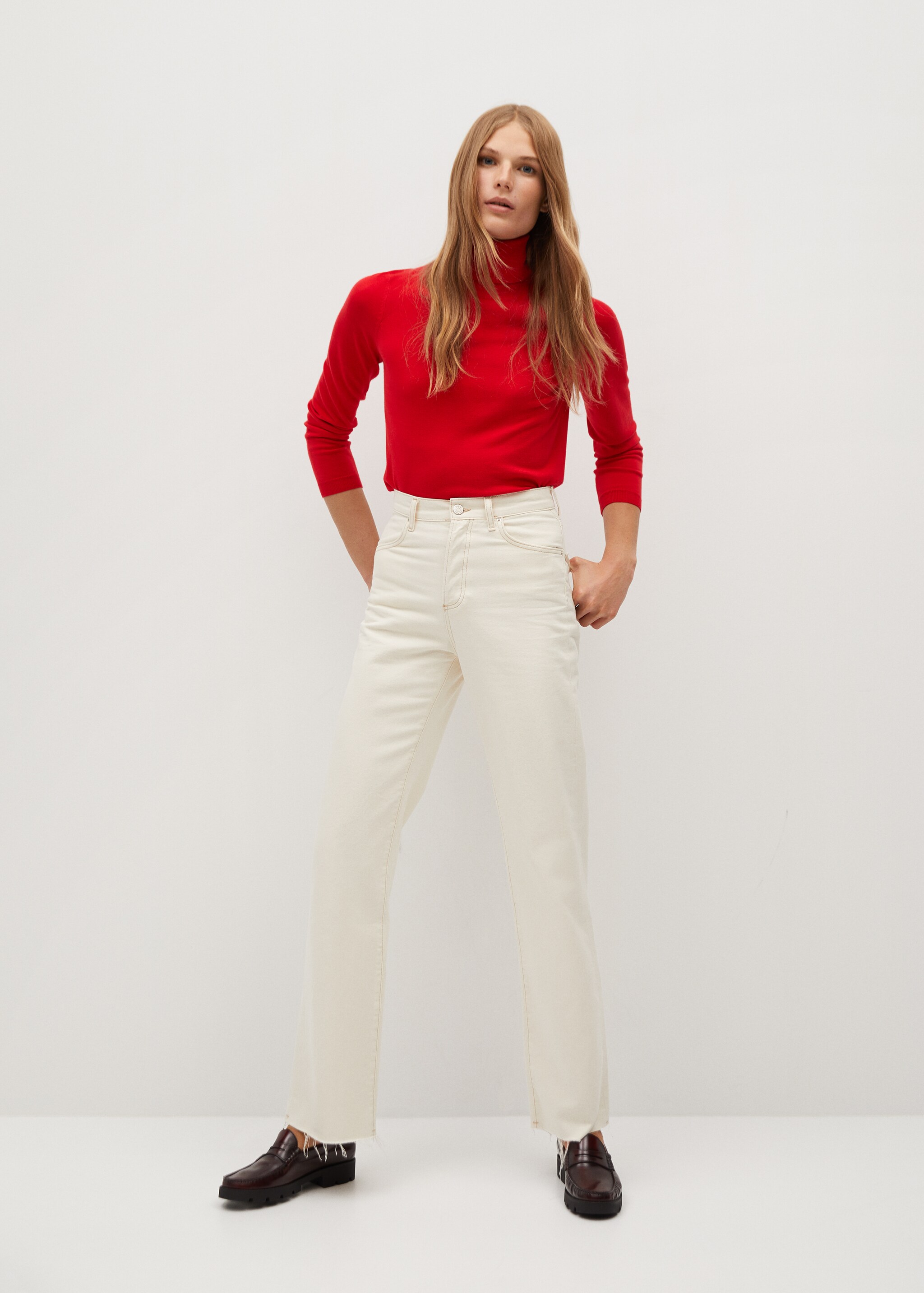 Turtleneck sweater - General plane