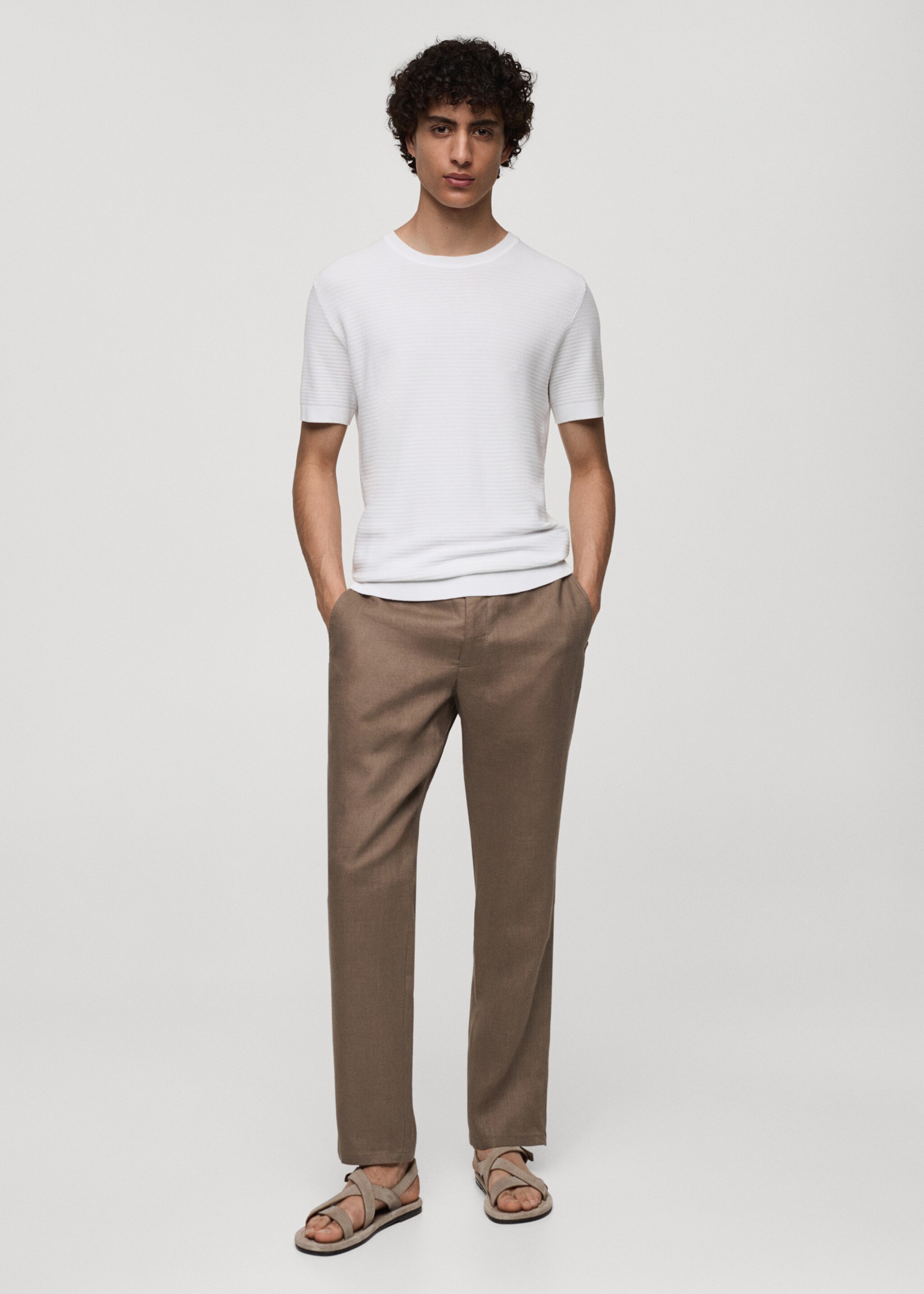 Slim-fit 100% linen pants - General plane