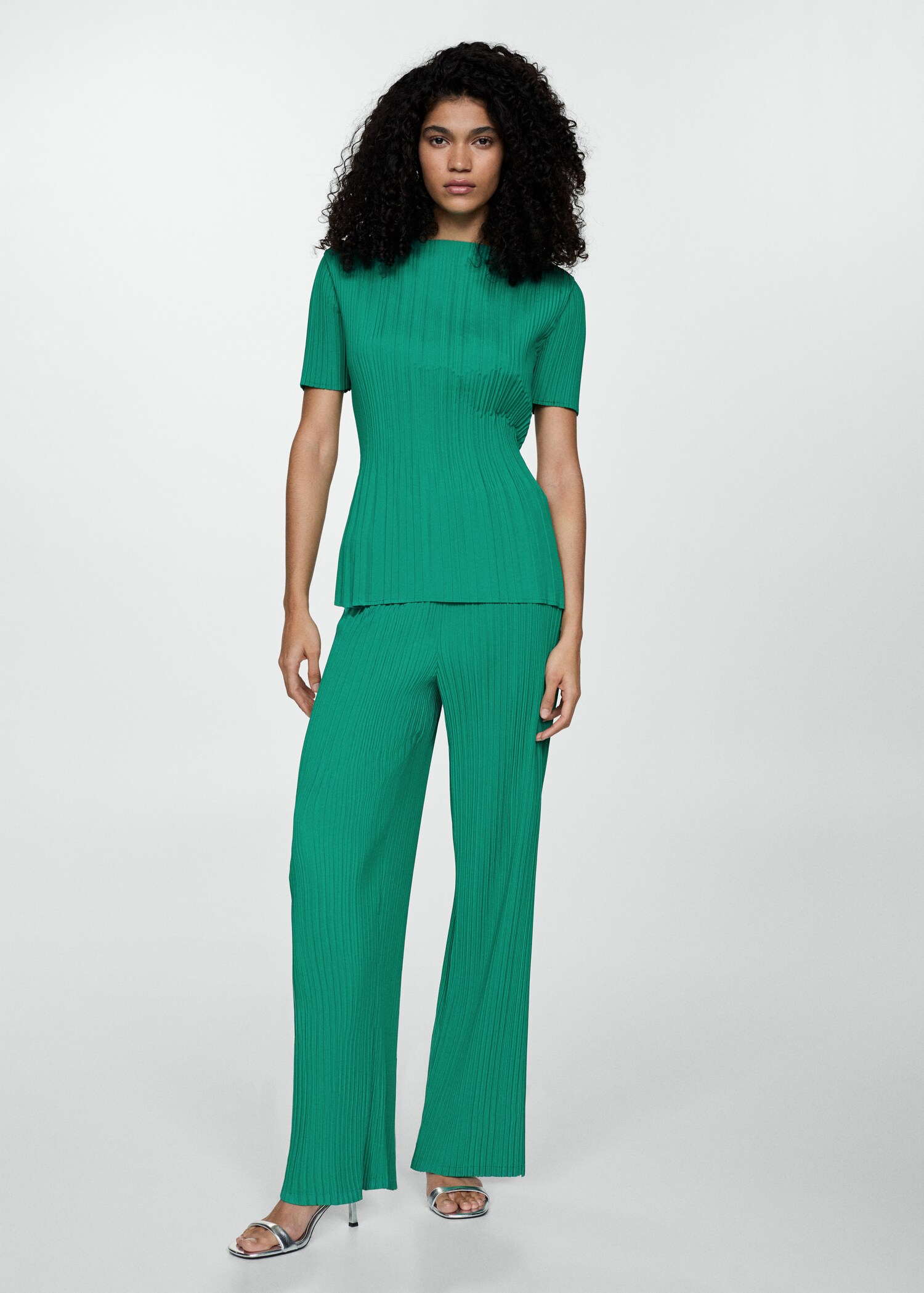 Fluid pleated pants - General plane