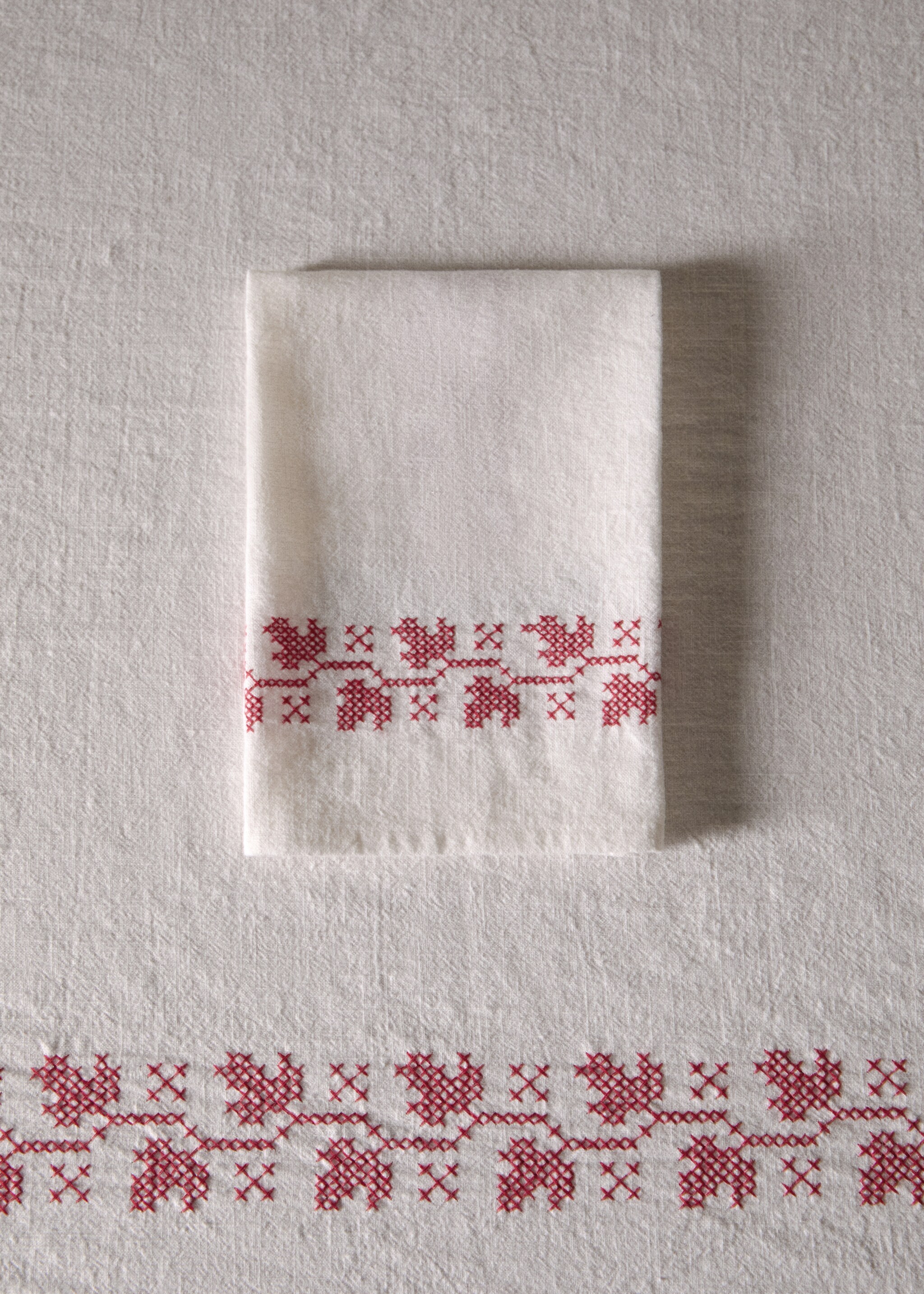 Embroidered detail napkin - General plane, Red. Ref: 77069232-00.