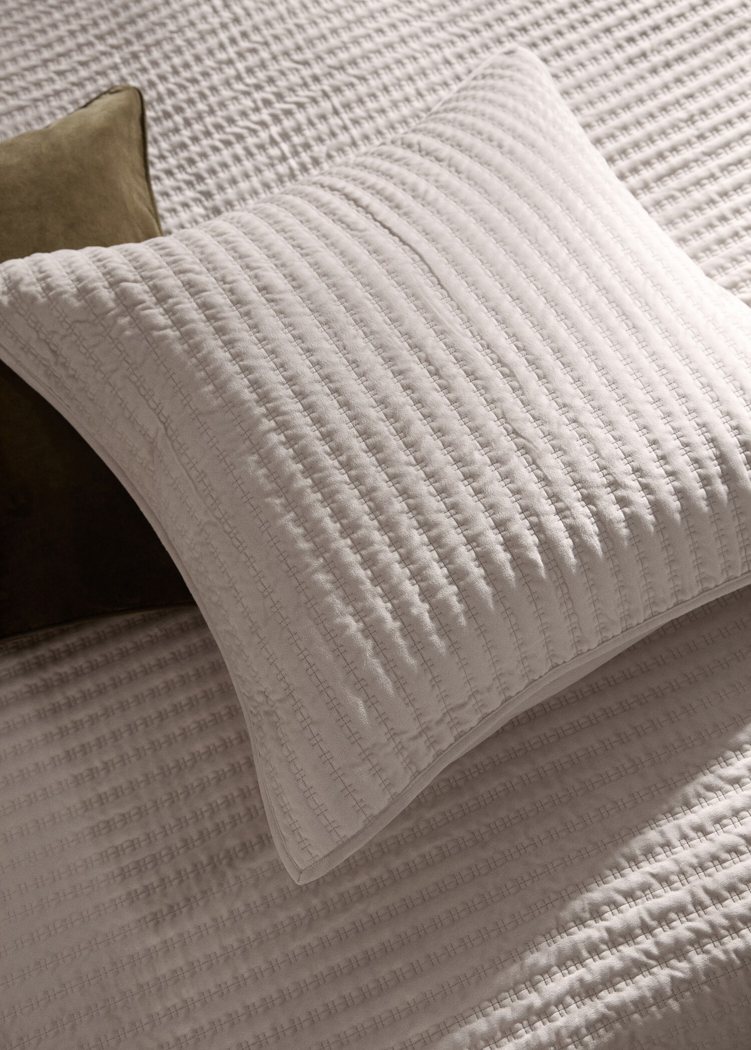 Velvet cushion cover - General plane