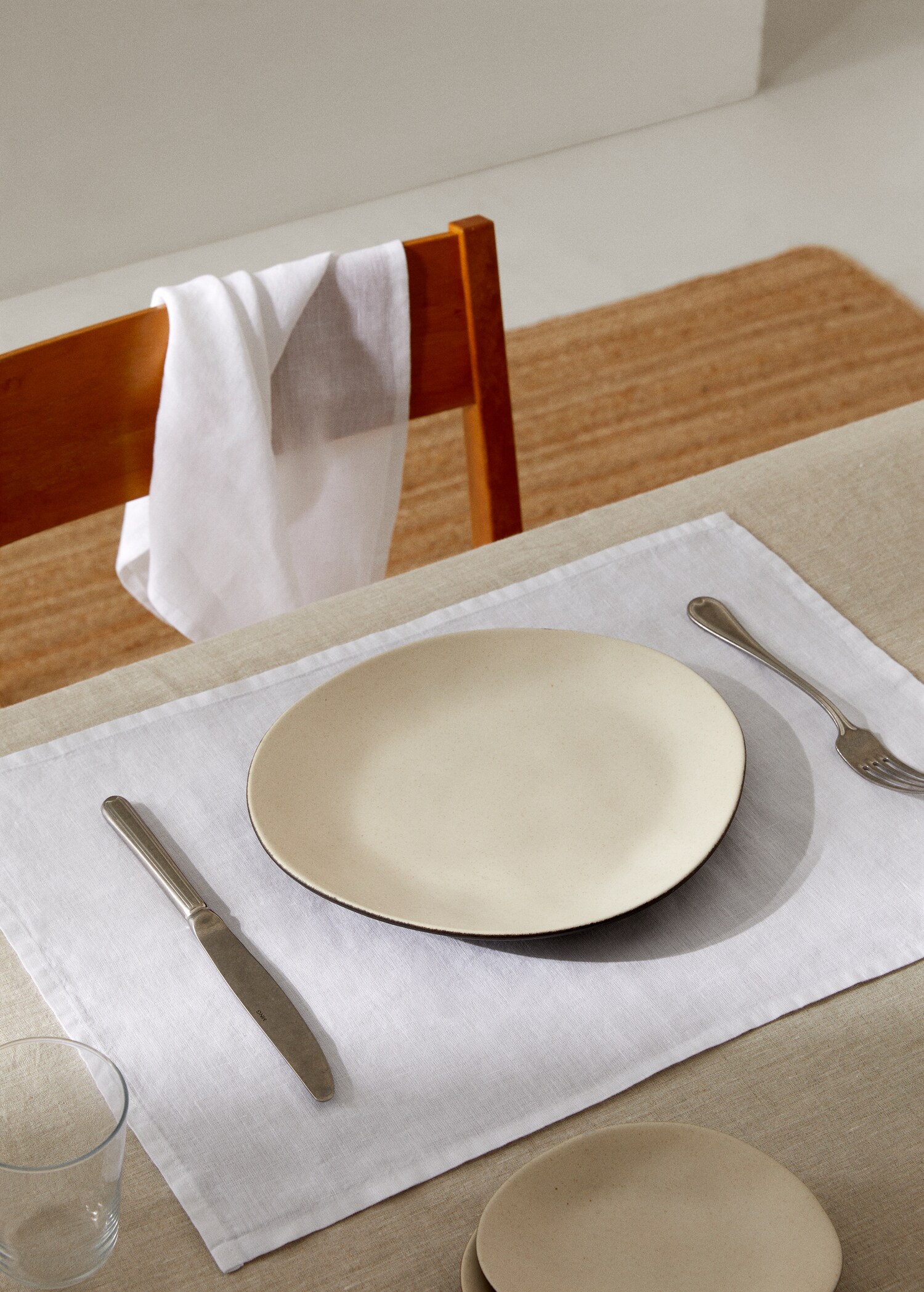 100% plain linen placemat - General plane