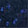 Color Blau nit seleccionat
