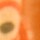 Colour Burnt Orange selected