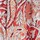 Color Rojo coral