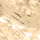 Couleur Or sélectionnée