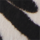 Colour Black selected