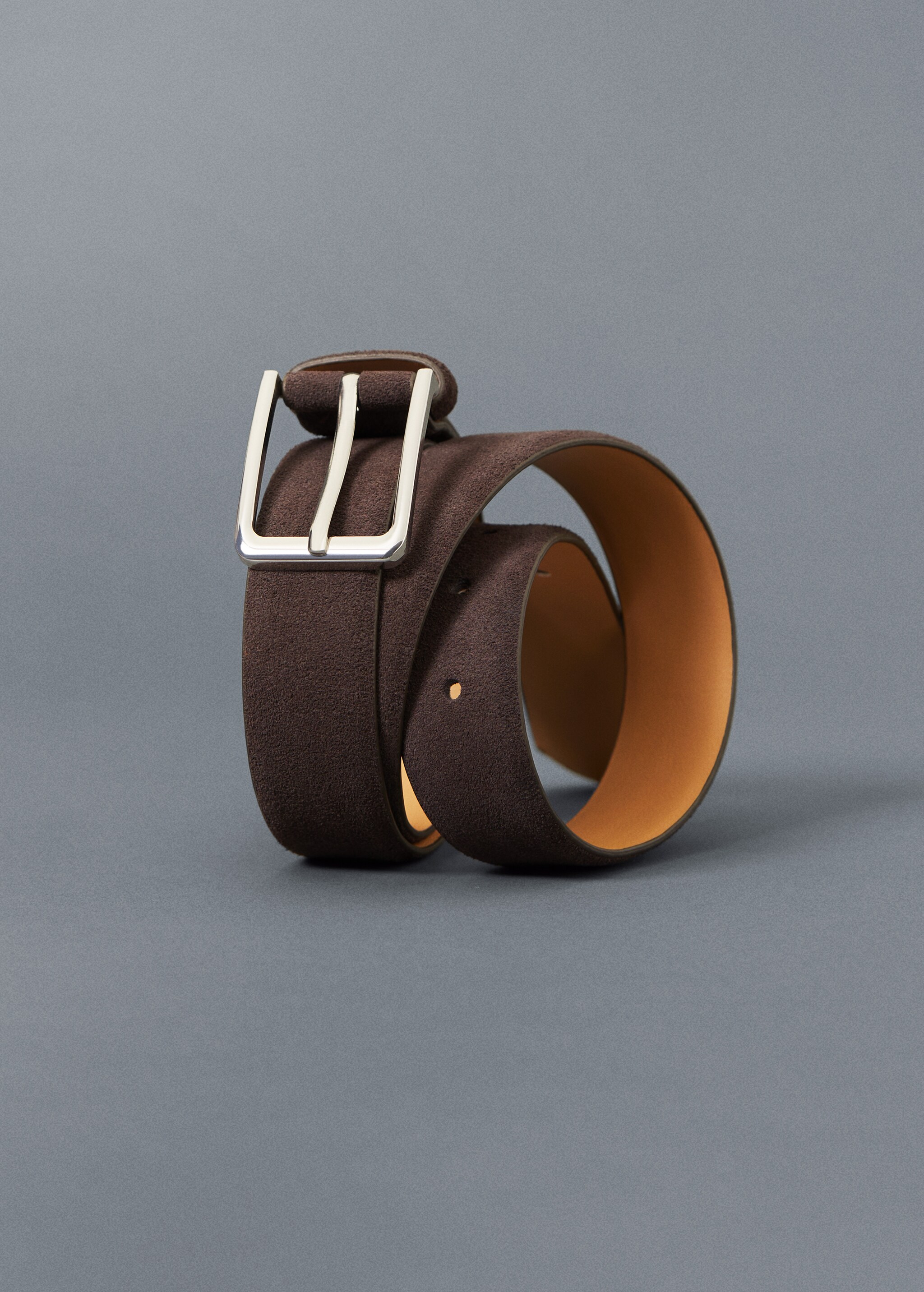 Suede belt - Details of the article 4