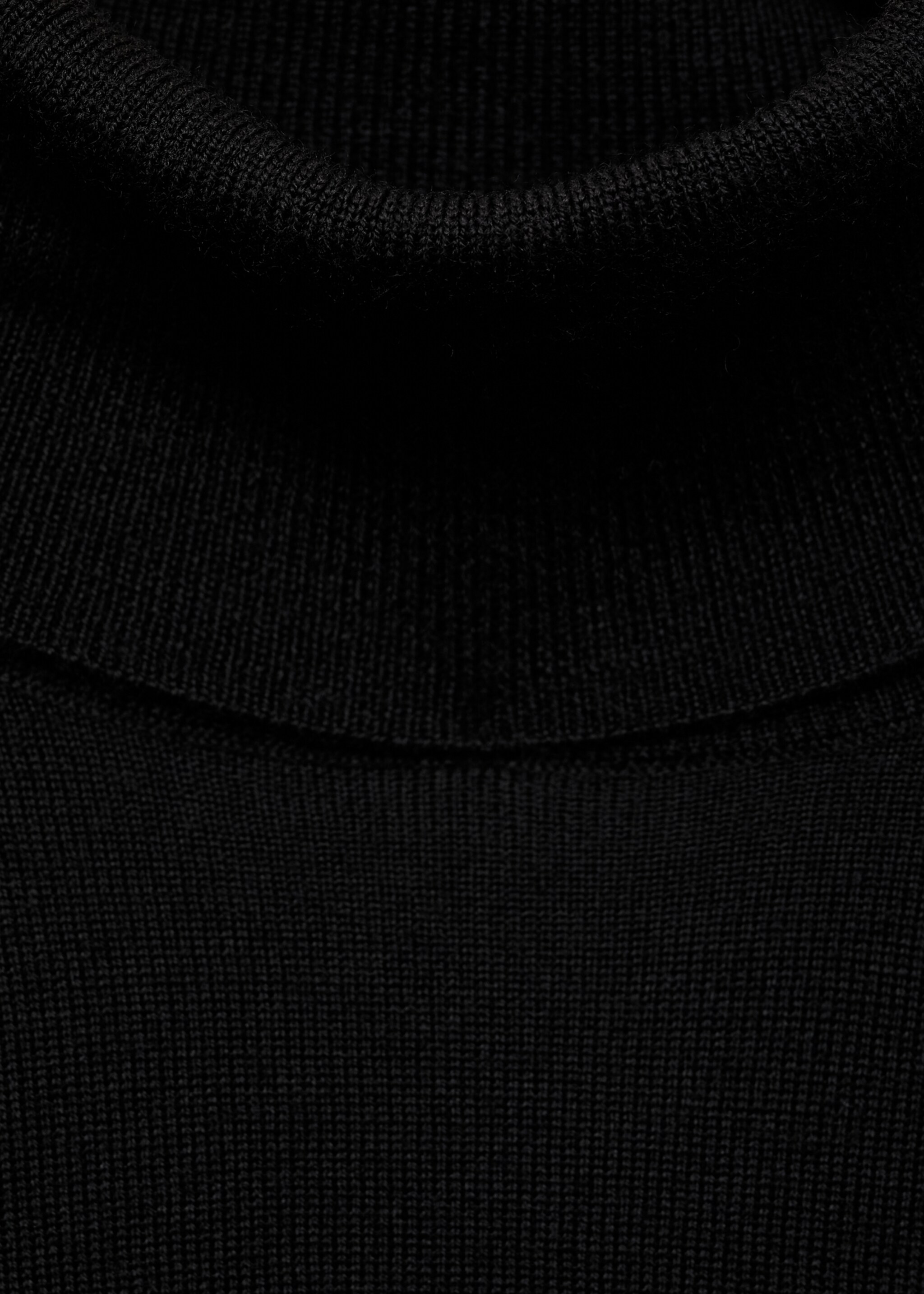 100% merino wool turtleneck sweater - Details of the article 0, Black. Ref: 87000619-00.