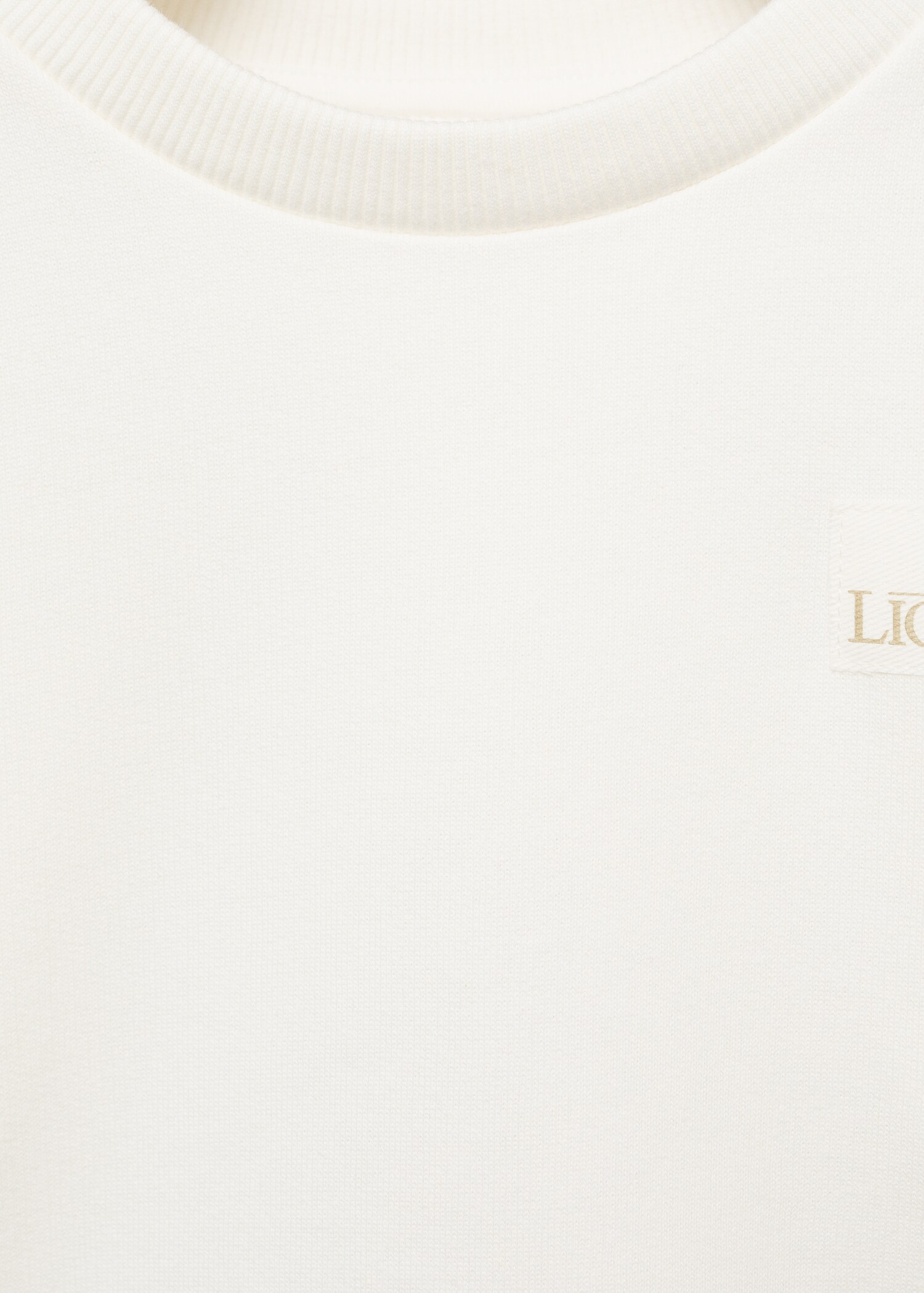 Dessuadora Rei Lleó - Detall de l'article 8