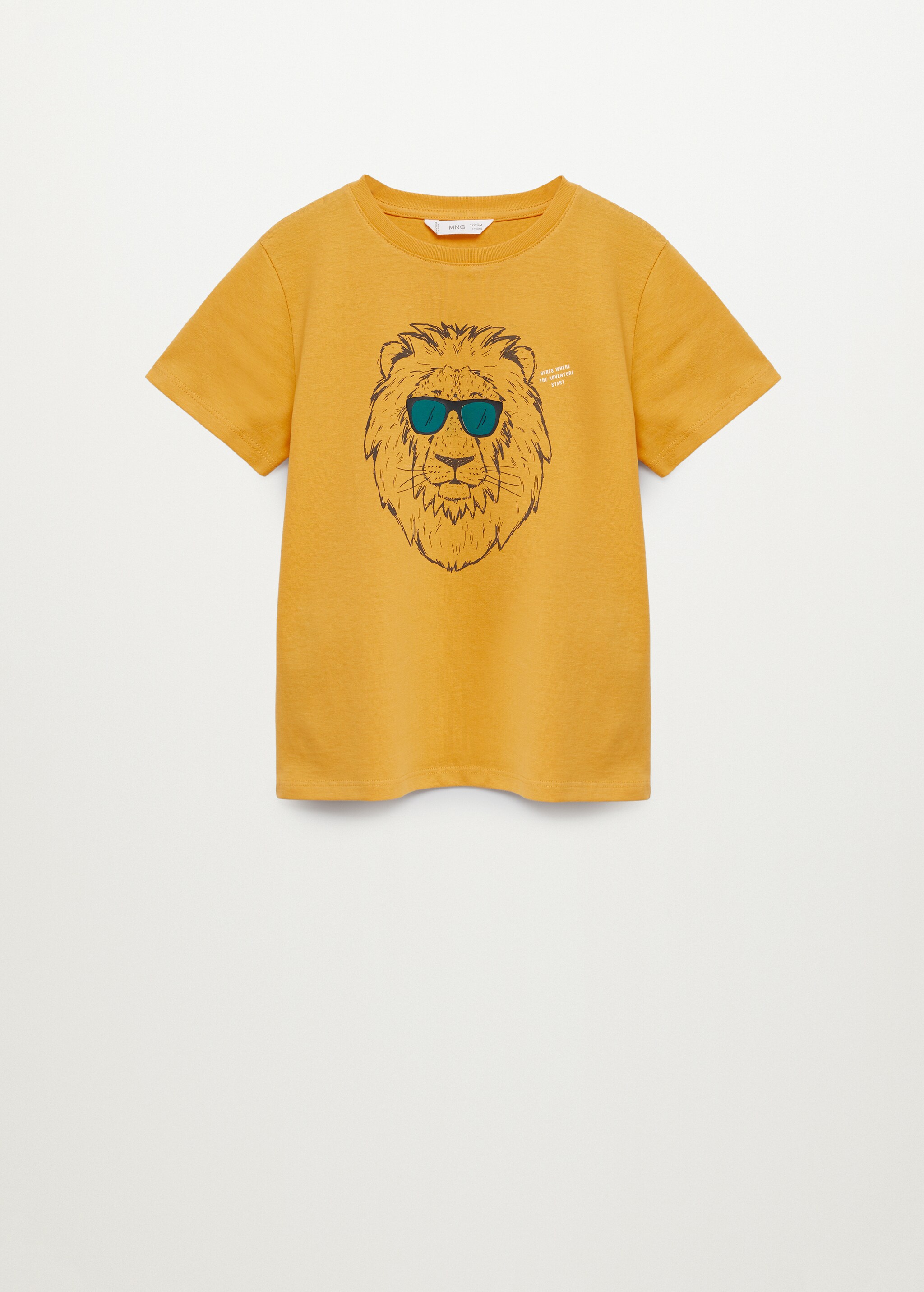 Camiseta algodón estampada - Artículo sin modelo