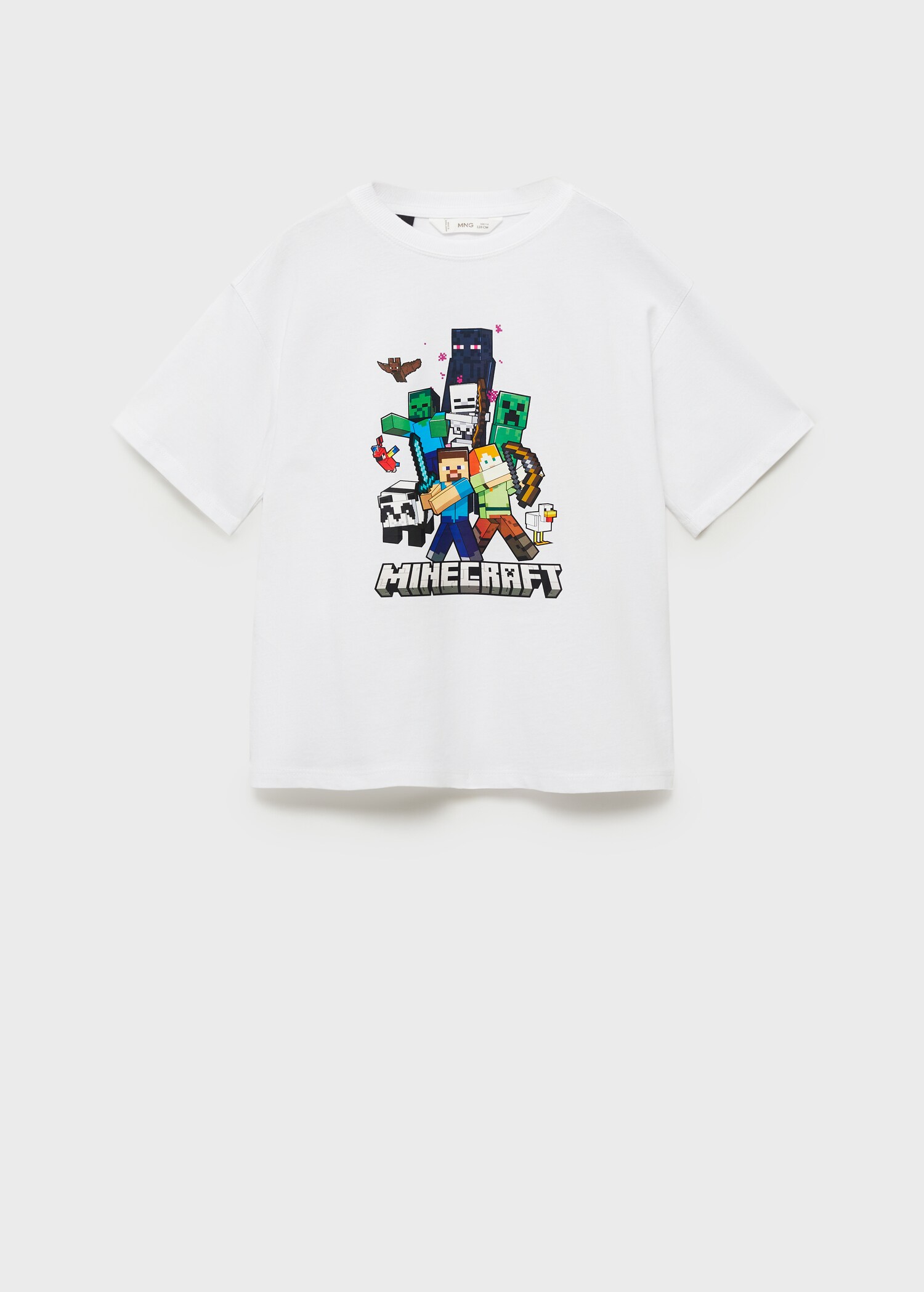 Minecraft cotton t-shirt - Article without model