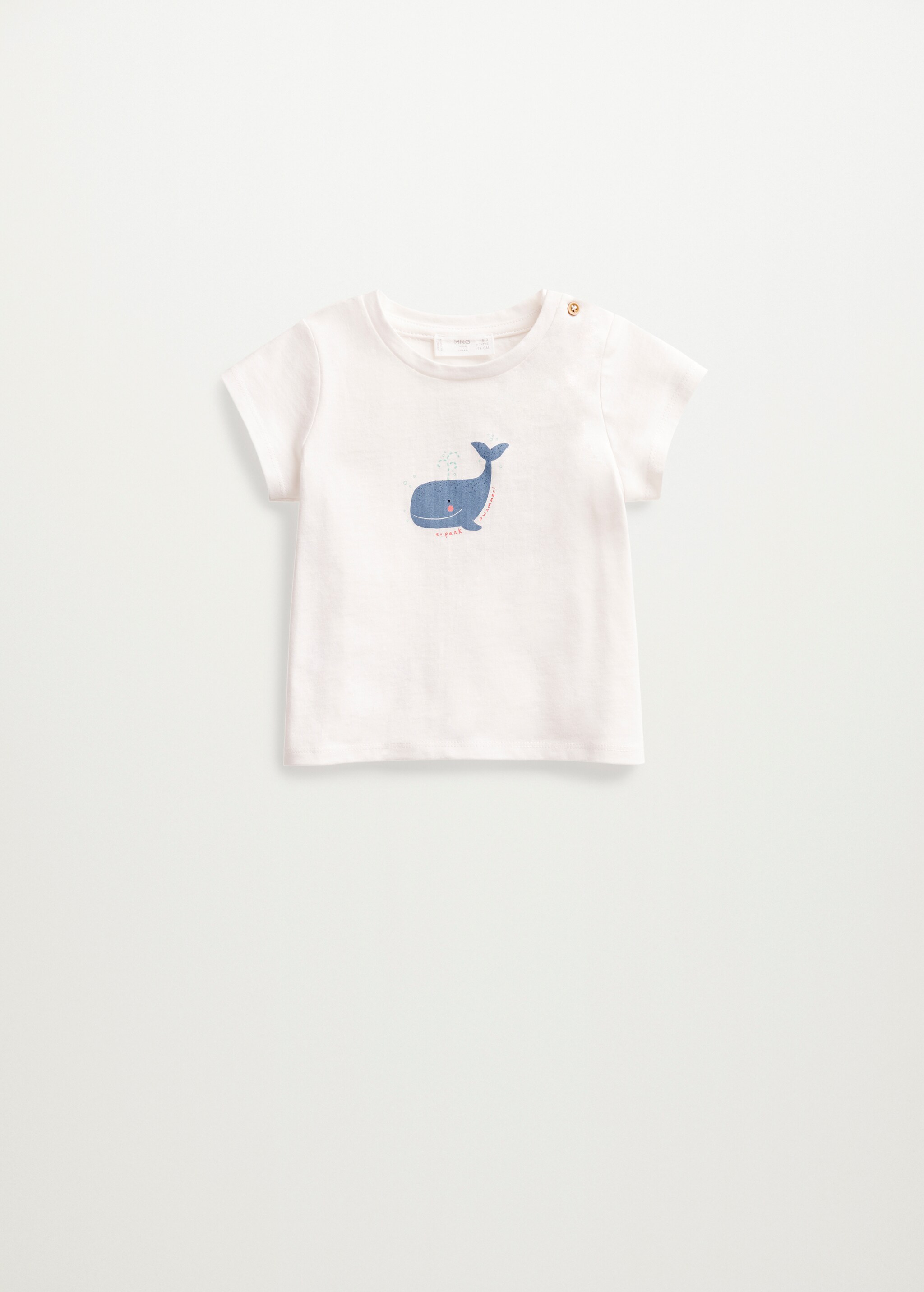 Camiseta algodón sostenible - Artículo sin modelo