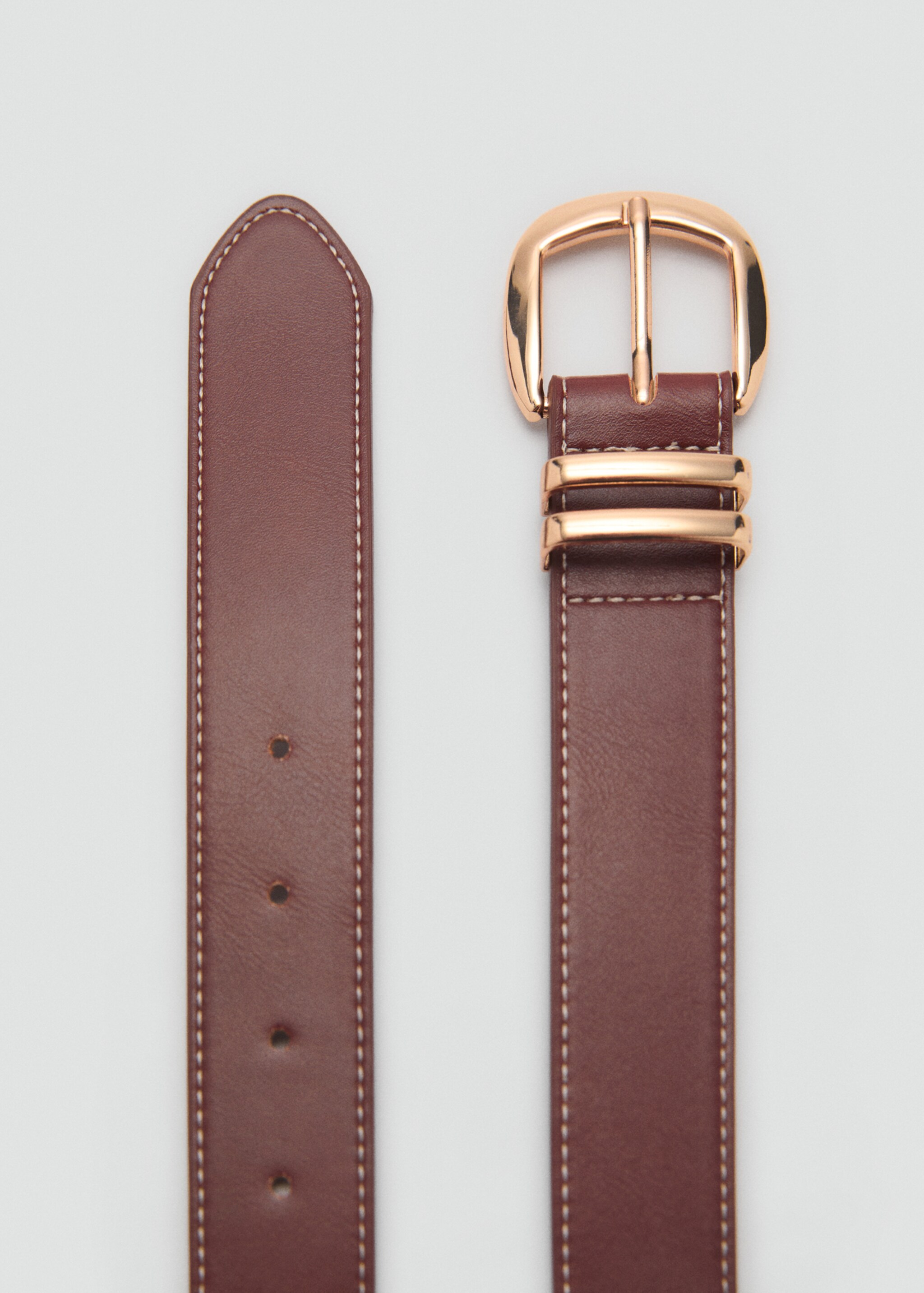 Ceintuur met metalen gesp - Detail van het artikel 1, Bruin. Ref: 87010279-00.