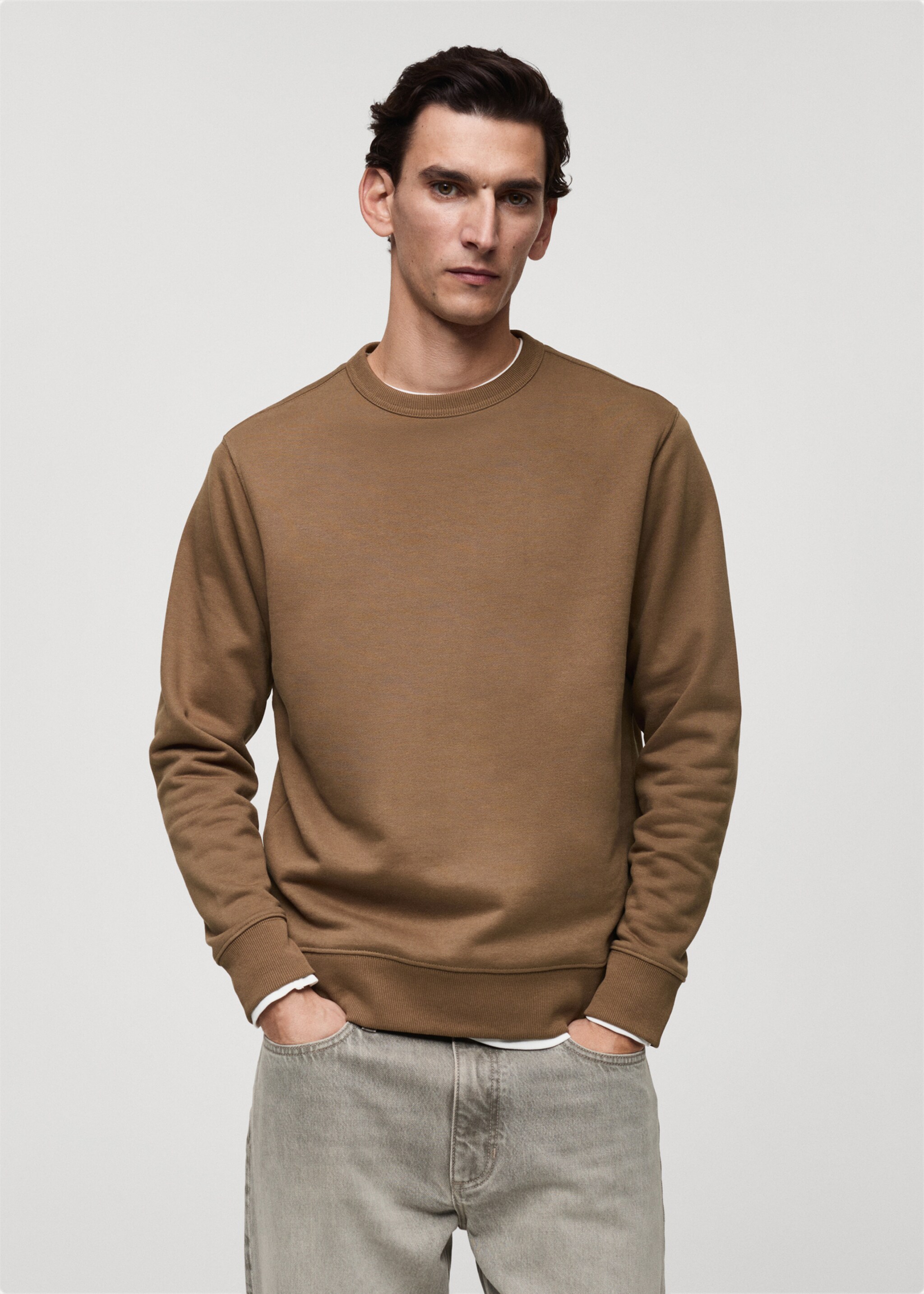 Regular-fit cotton sweatshirt - Medium plane, Medium Brown. Ref: 87010620-00.