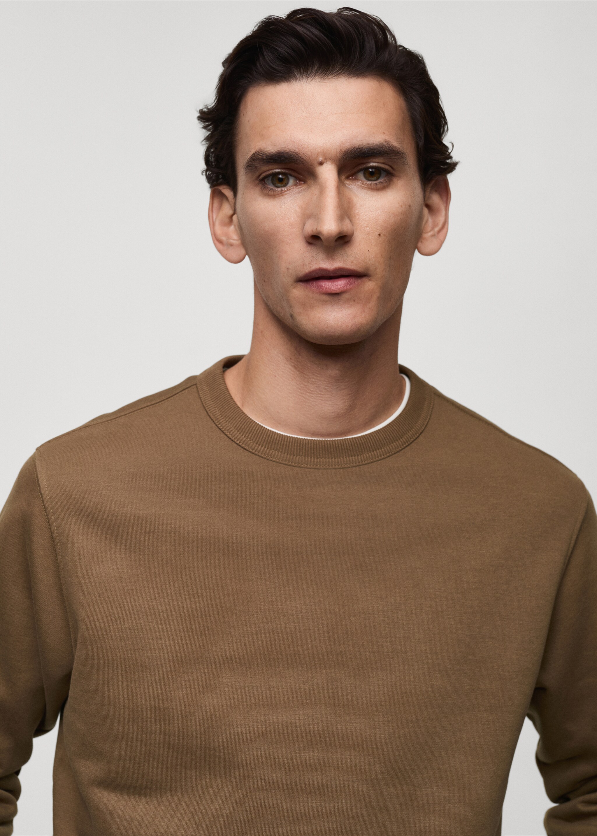 Regular-fit cotton sweatshirt - Details of the article 1, Medium Brown. Ref: 87010620-00.