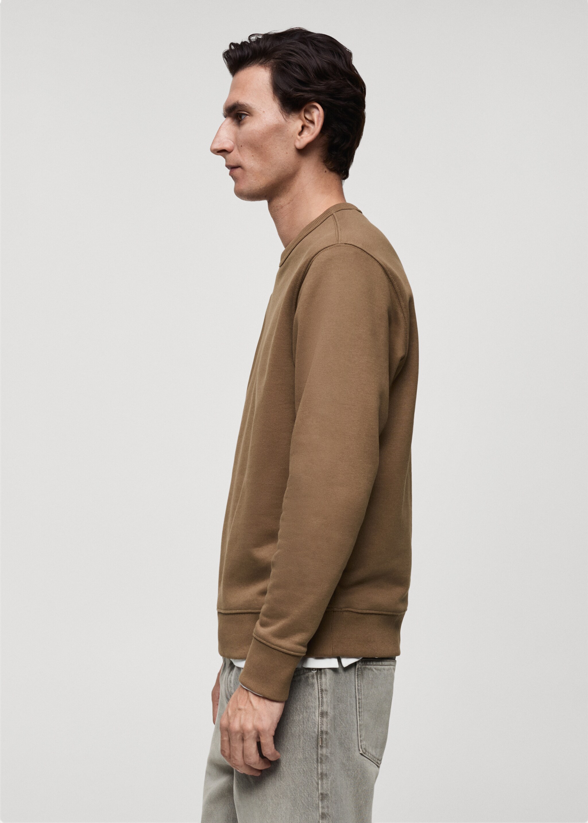Regular-fit cotton sweatshirt - Details of the article 2, Medium Brown. Ref: 87010620-00.