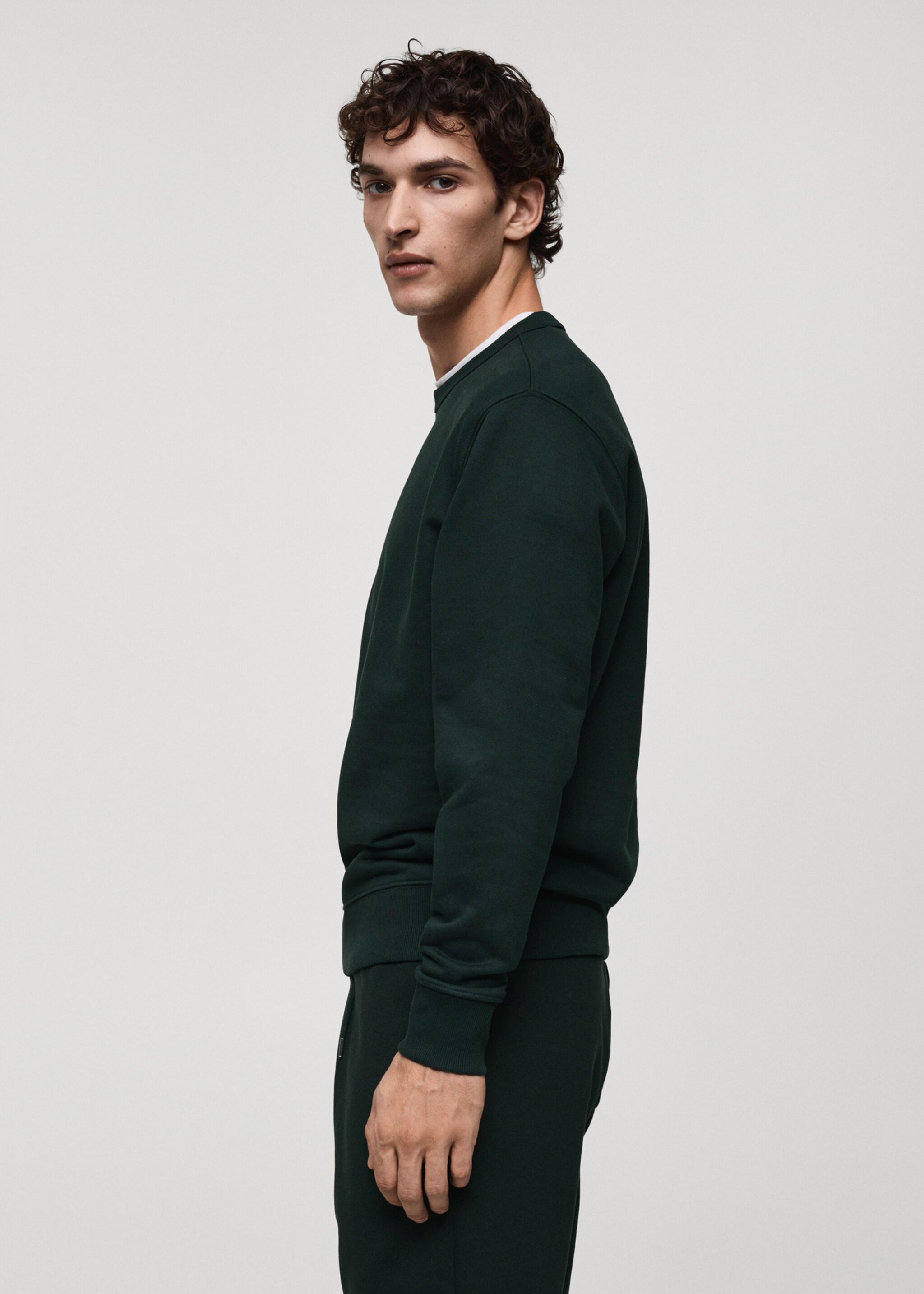 Regular-fit cotton sweatshirt - Details of the article 2, Green. Ref: 87010620-00.