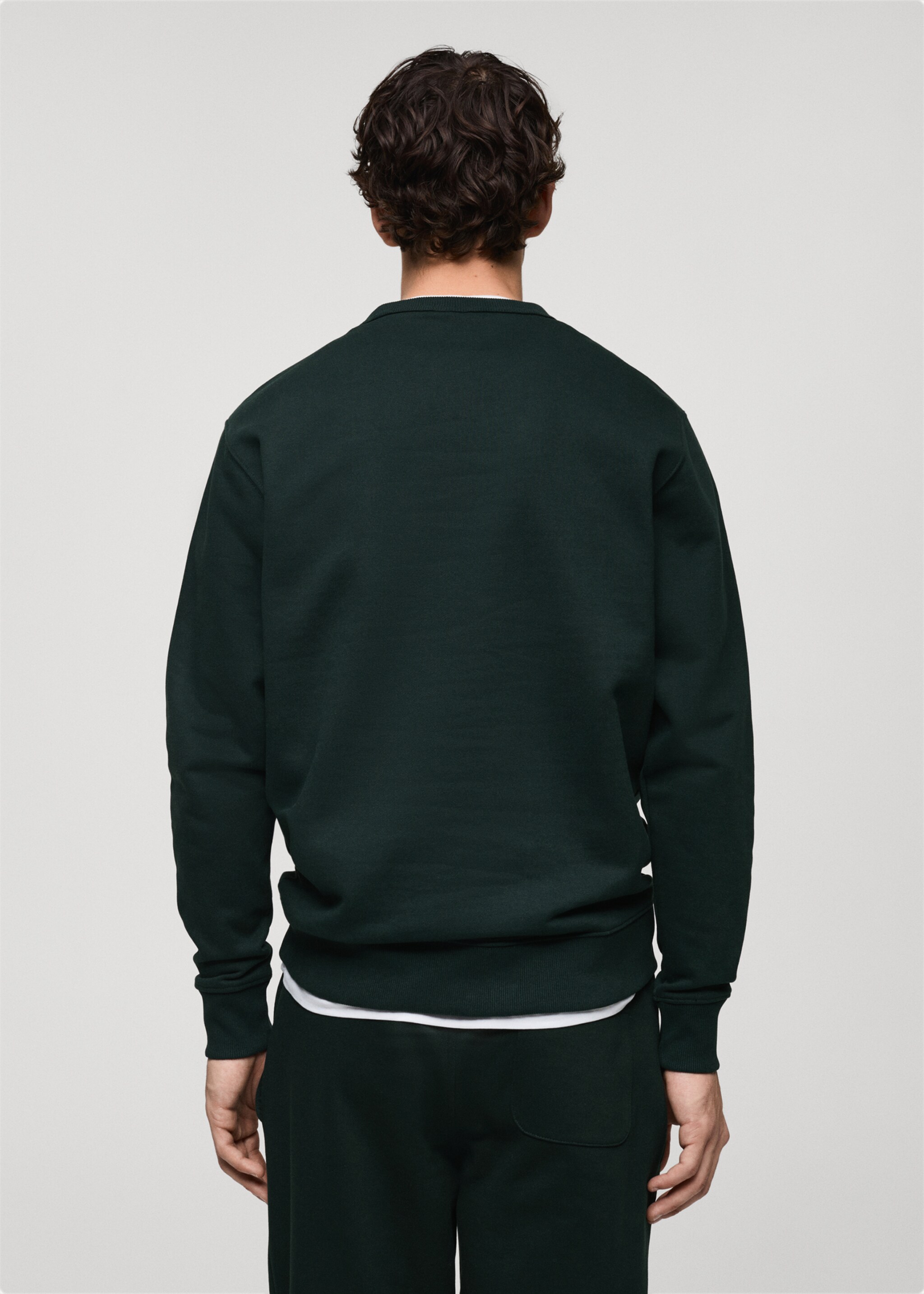 Regular-fit cotton sweatshirt - Reverse of the article, Green. Ref: 87010620-00.