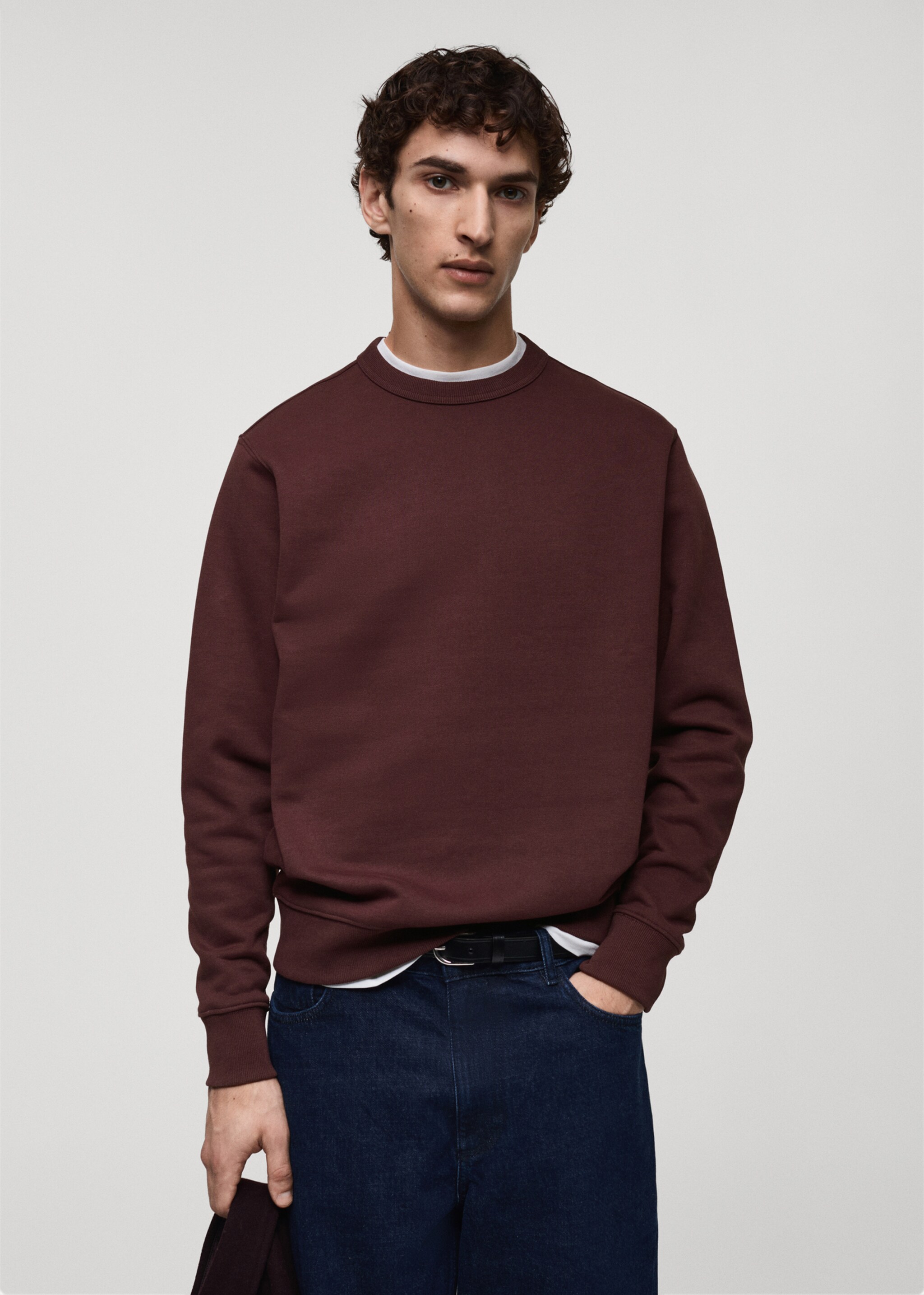 Regular-fit cotton sweatshirt - Medium plane, Burgundy. Ref: 87010620-00.