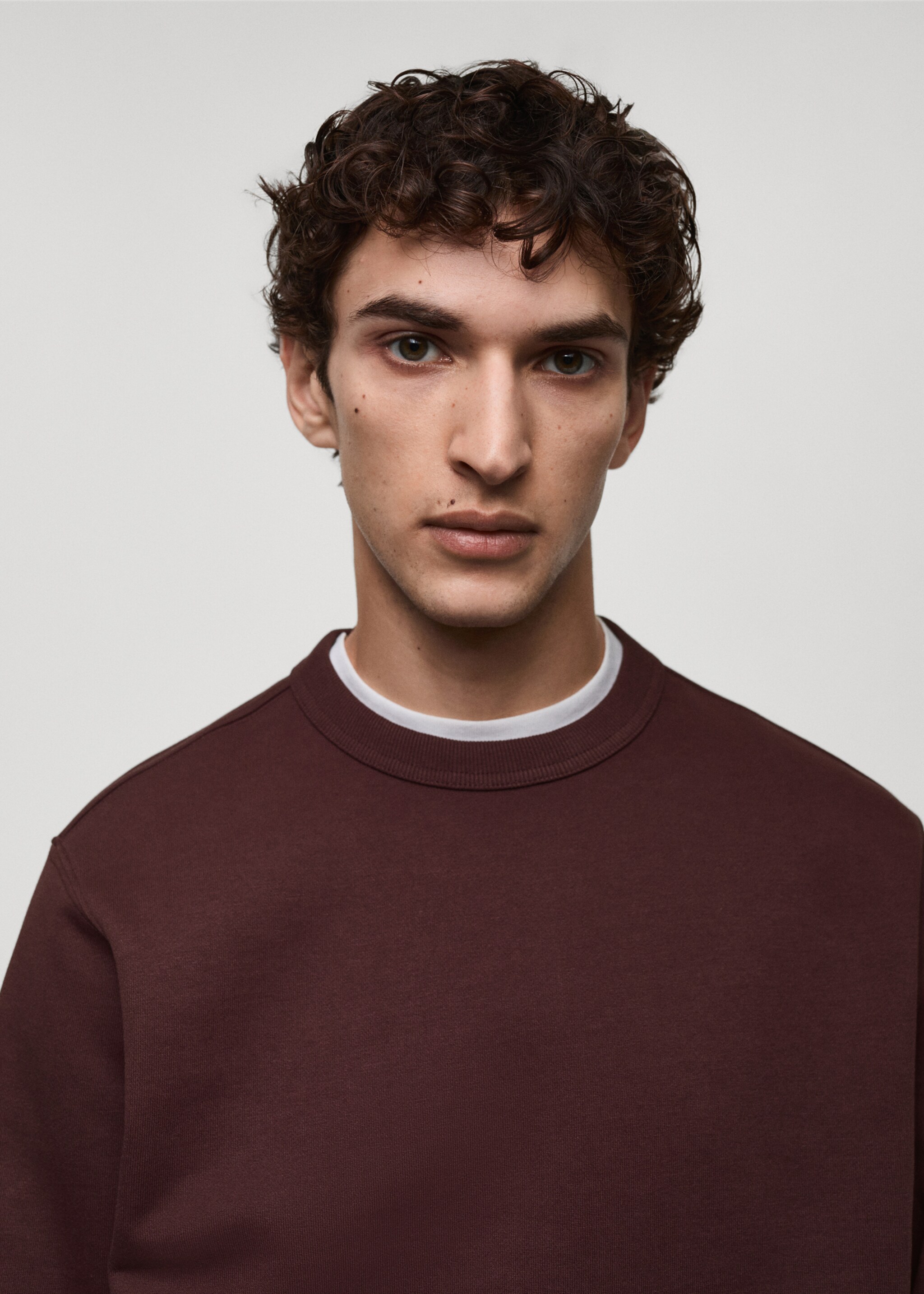 Regular-fit cotton sweatshirt - Details of the article 1, Burgundy. Ref: 87010620-00.