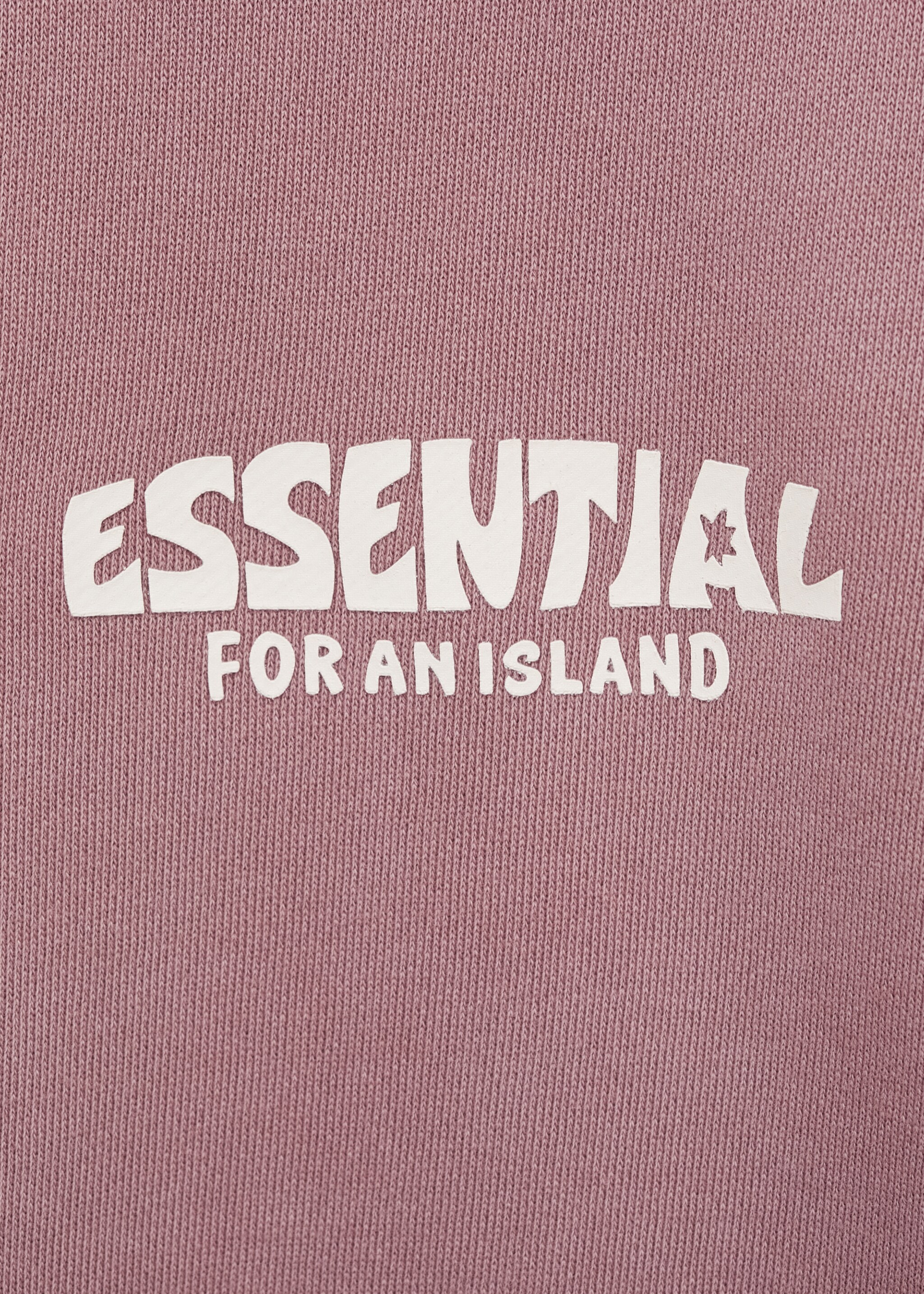 Message cotton sweatshirt - Details of the article 8, Light/Pastel Purple. Ref: 87011052-00.