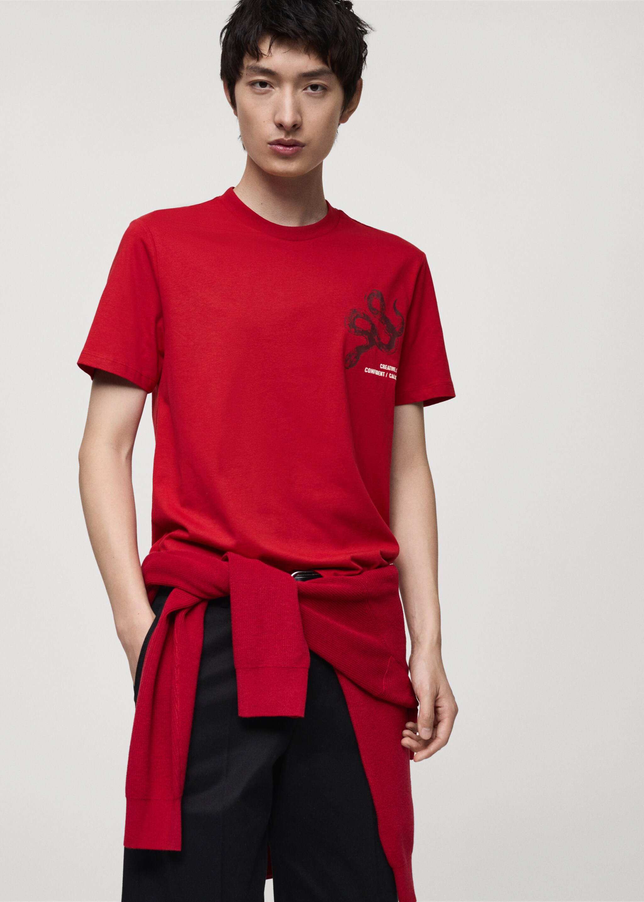 100% cotton slim-fit t-shirt with combined print - Medium plane, Red. Ref: 87020254-00.