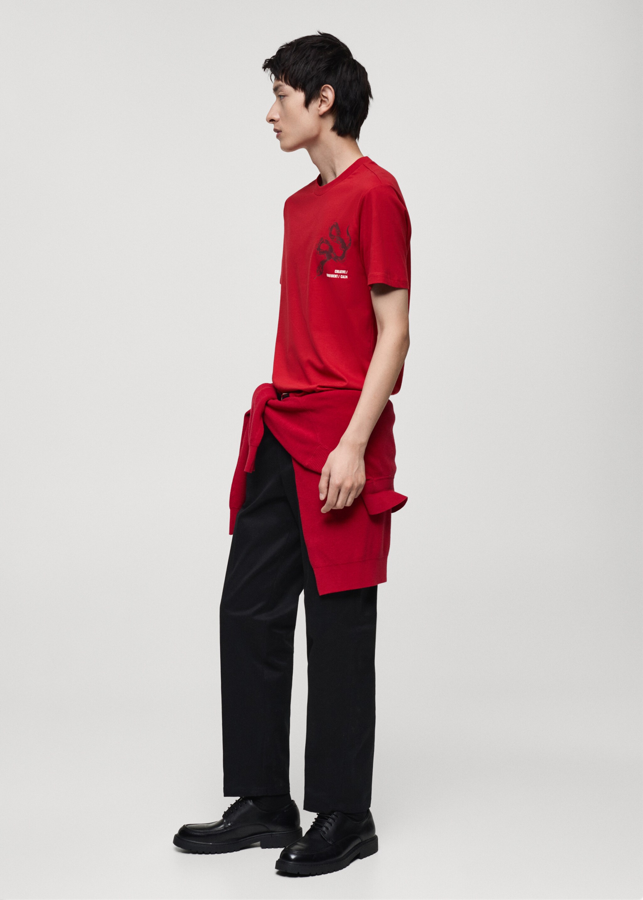 100% cotton slim-fit t-shirt with combined print - Details of the article 2, Red. Ref: 87020254-00.