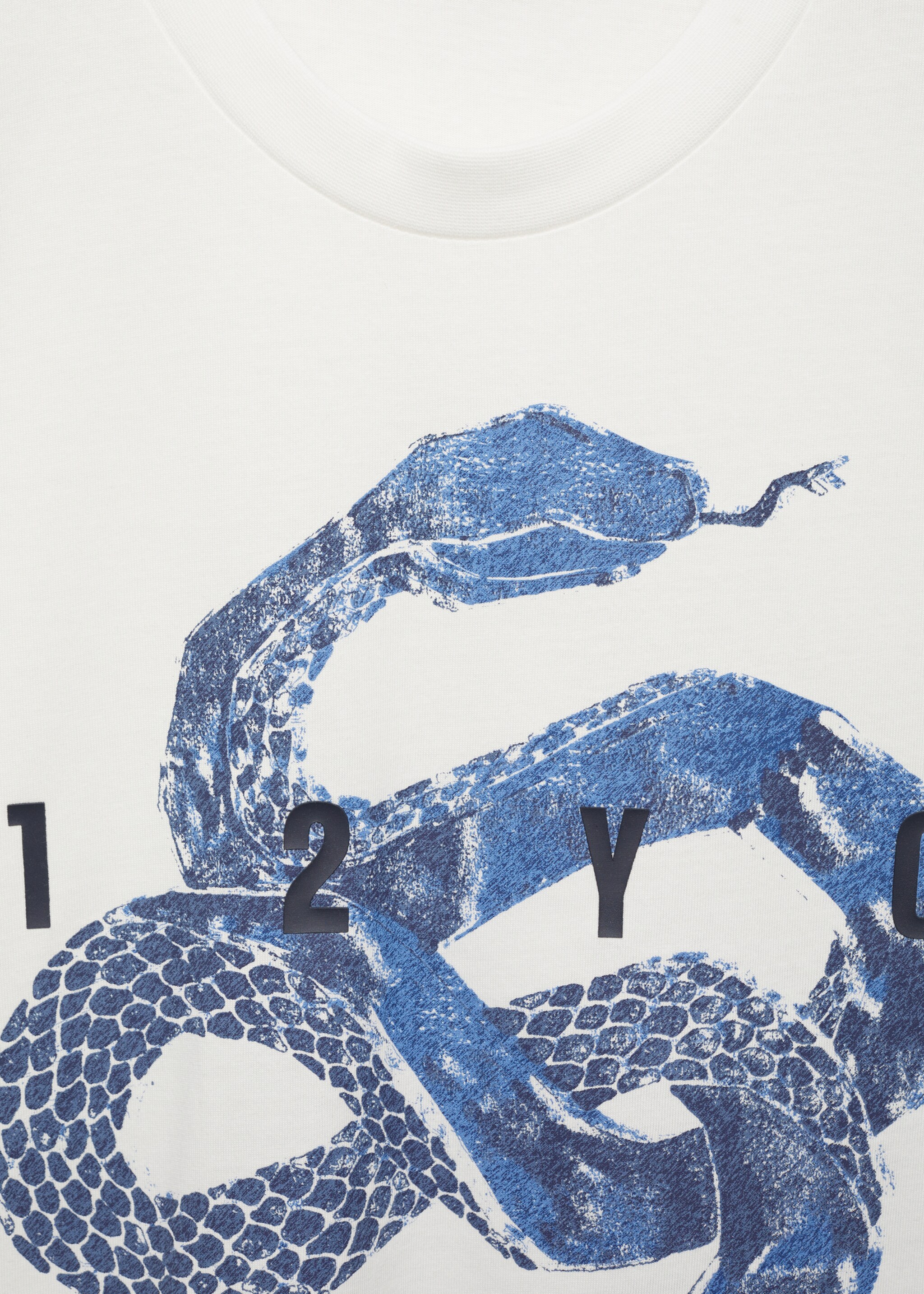 100% cotton t-shirt with graphic print on the front - Details of the article 8, White. Ref: 87020256-00.