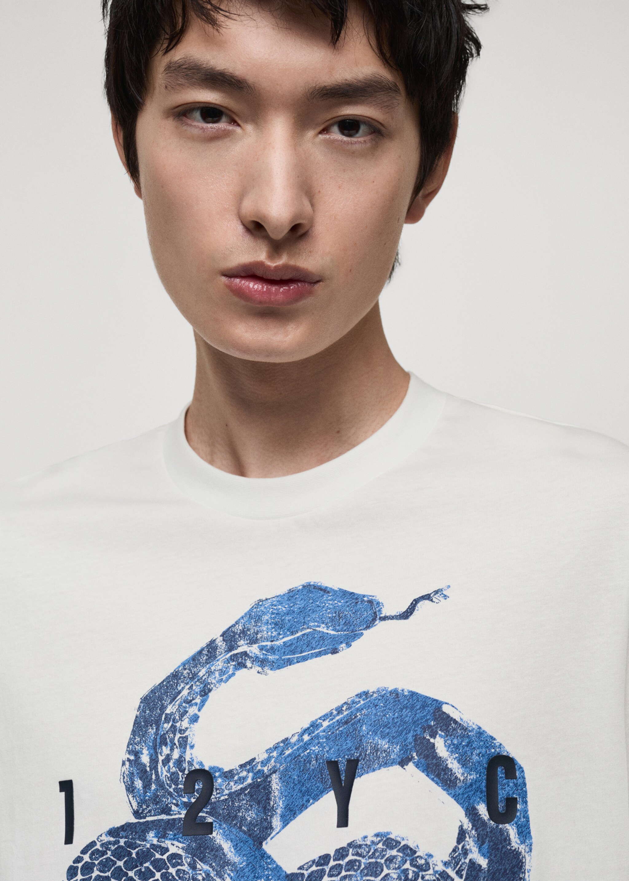 100% cotton t-shirt with graphic print on the front - Reverse of the article, White. Ref: 87020256-00.