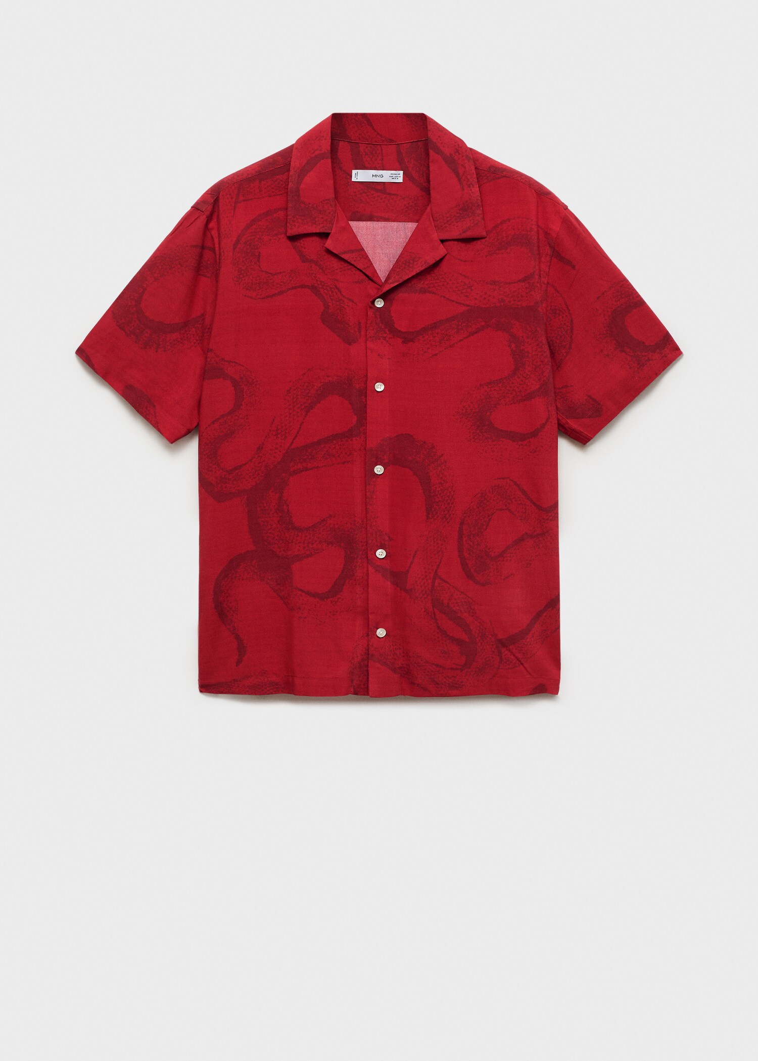 Regular-fit printed shirt - Article without model