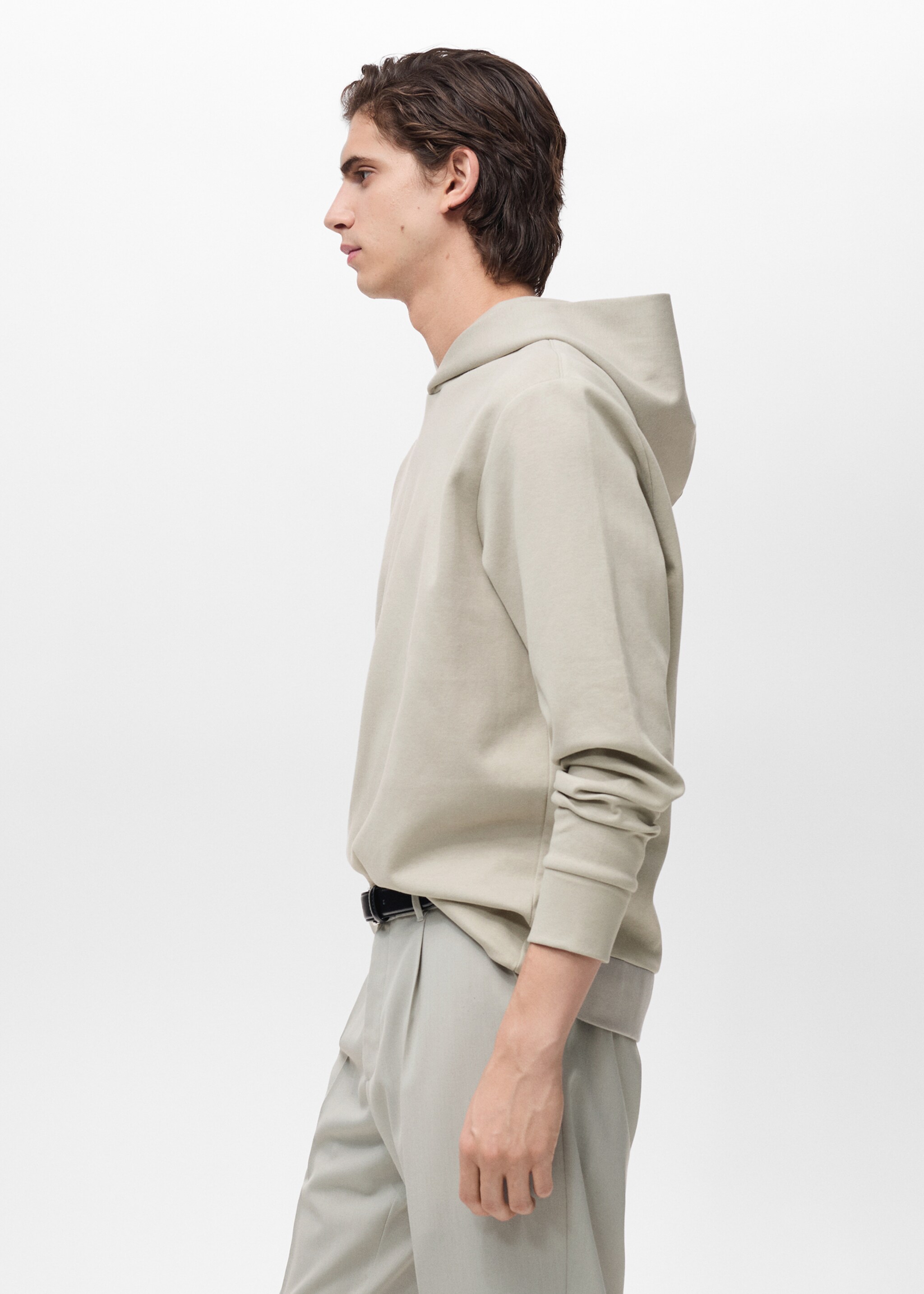 Regular-fit cotton hoodie - Details of the article 2, Ice Grey. Ref: 87024410-00.