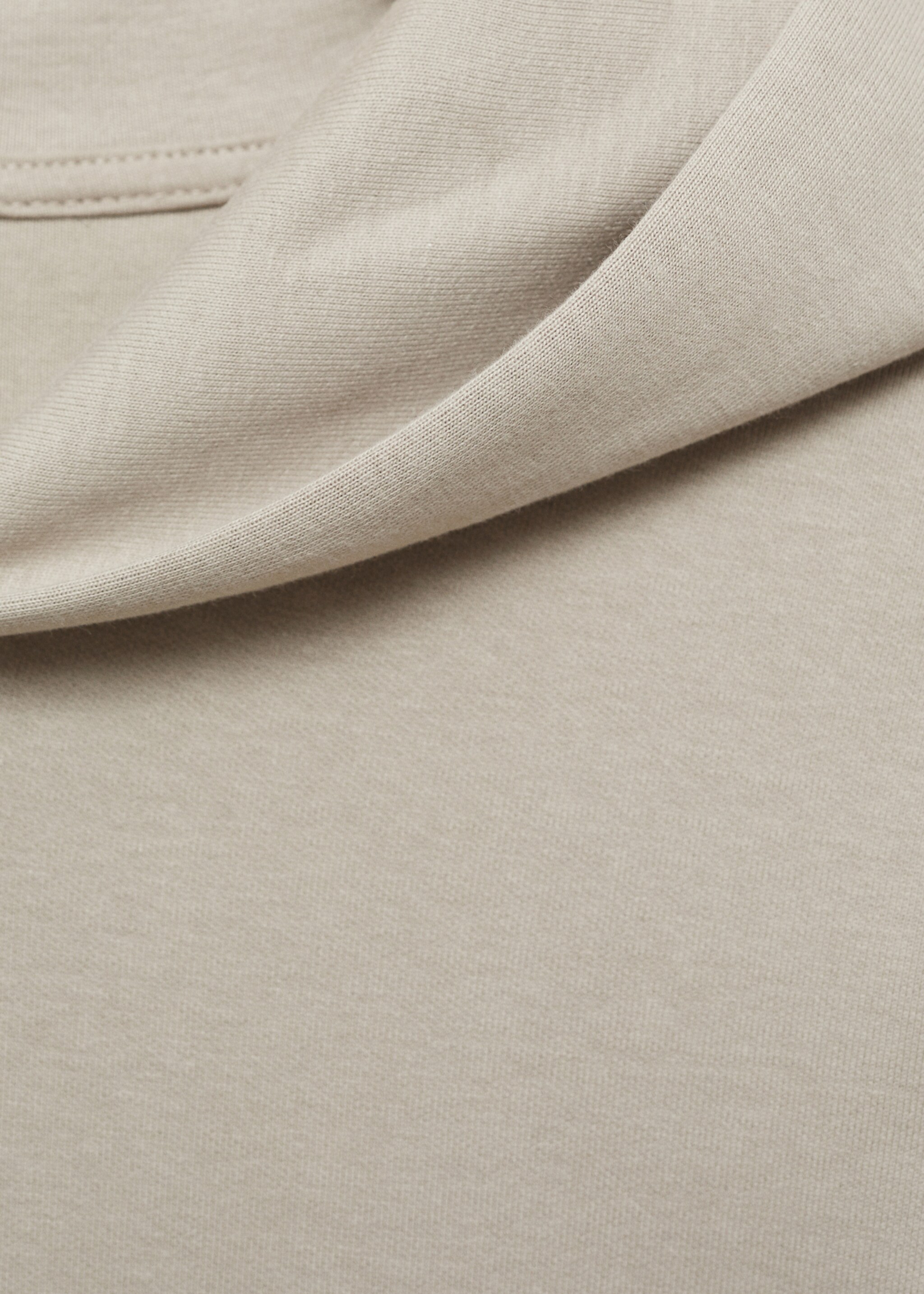 Regular-fit cotton hoodie - Details of the article 8, Ice Grey. Ref: 87024410-00.